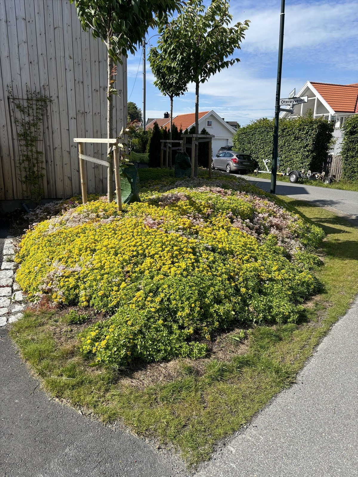Selgers private bilder fra sommertider Galleribilde