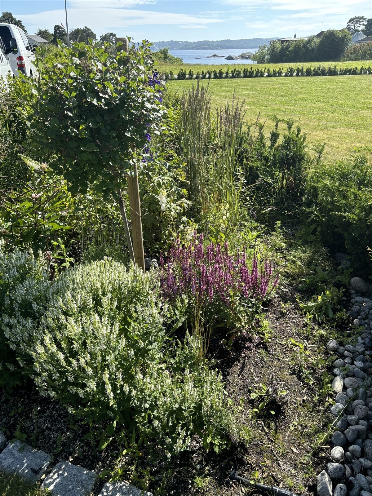 Selgers private bilder fra sommertider Galleribilde