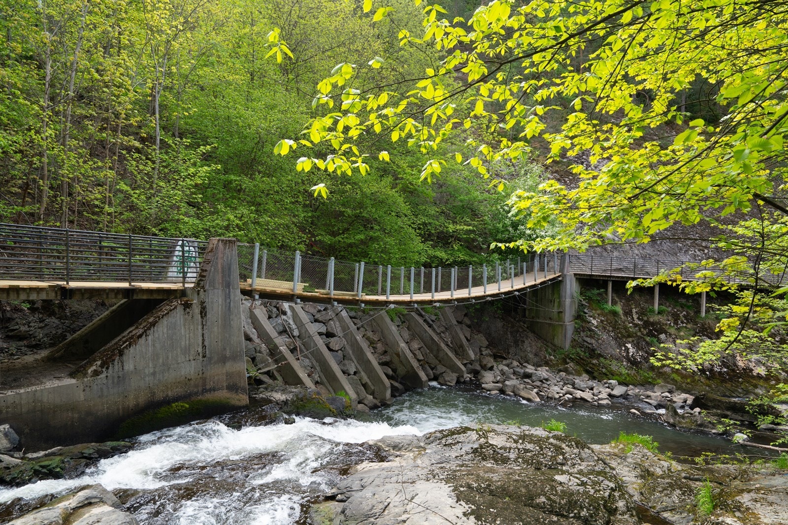 Alnaelva. Galleribilde