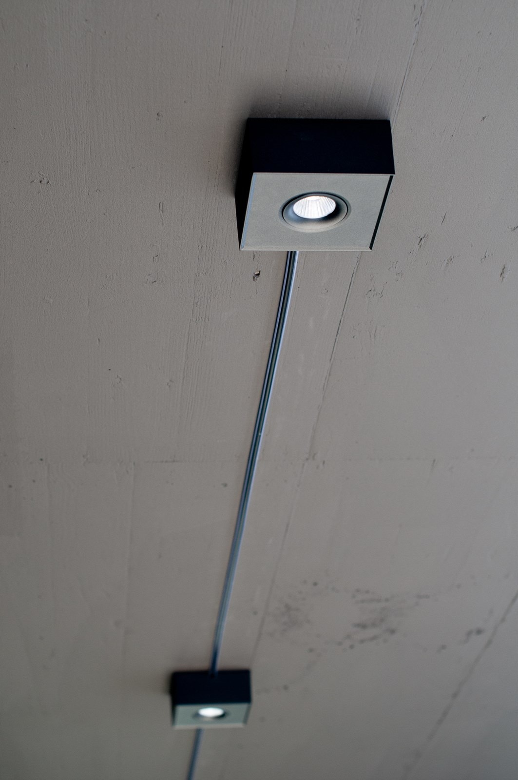 Fine detaljer Galleribilde