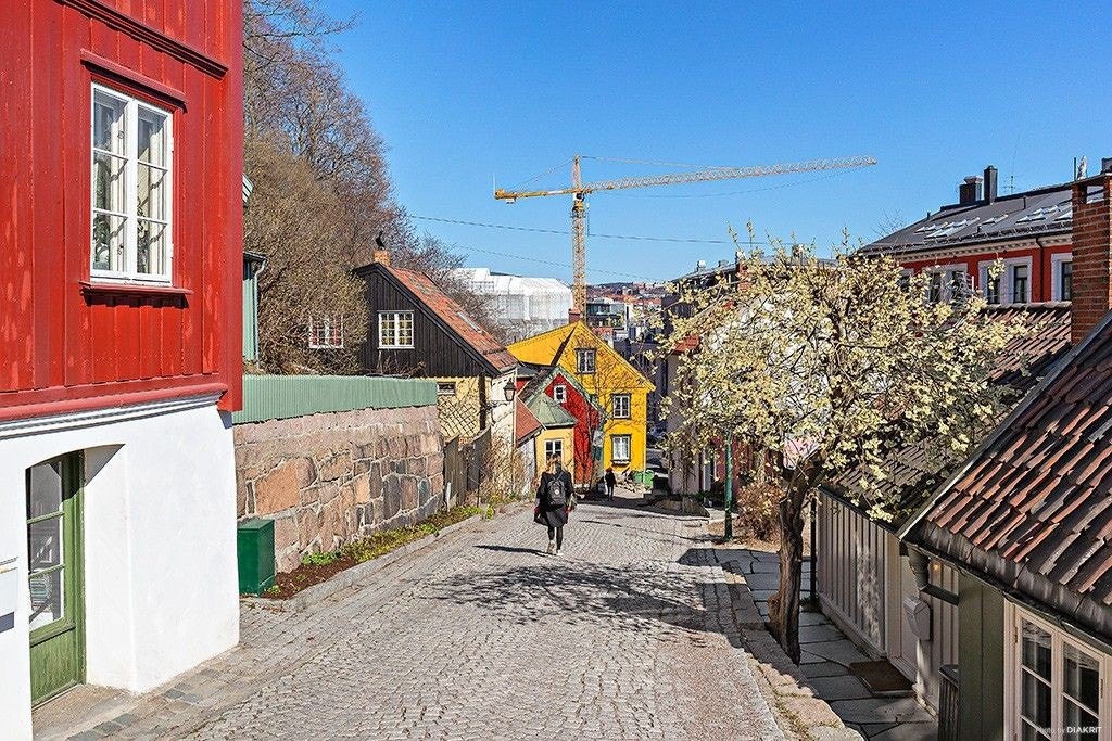 Nærmiljø - koselige Damstredet Galleribilde