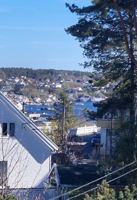 Utsikt Galleribilde