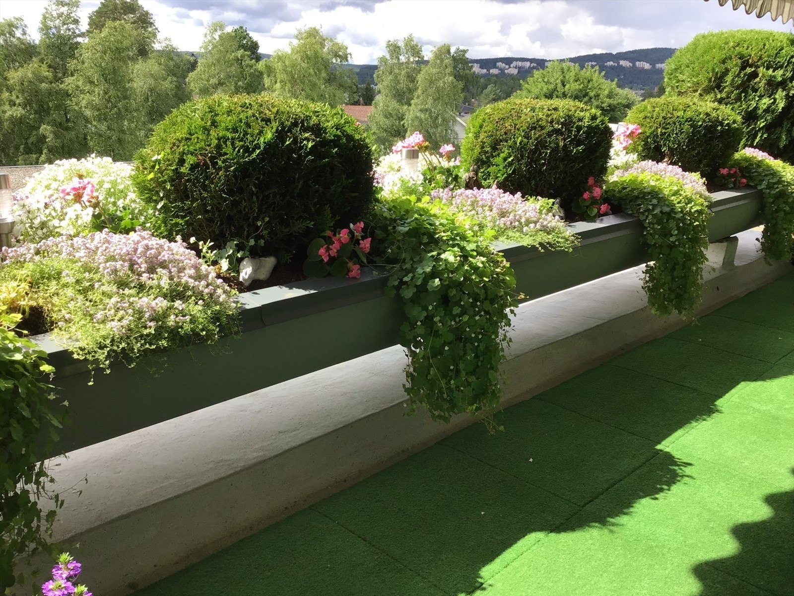 Blomsterbedet har blitt tatt svært godt hånd om i alle år, og oppleves som en egen oase på balkongen. Galleribilde