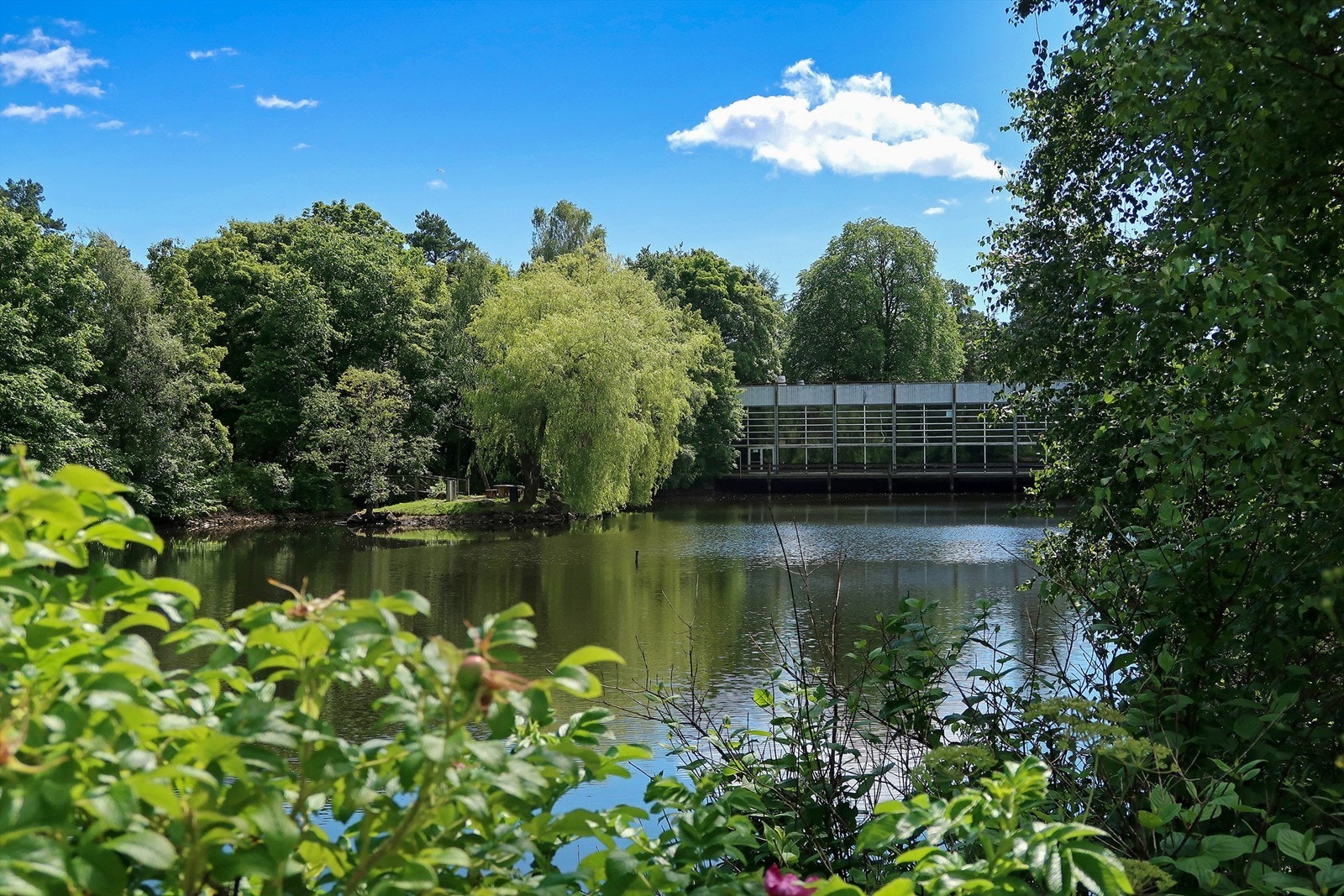 Flotte park- og turområder ligger like ved, med turstier og bademuligheter. Galleribilde