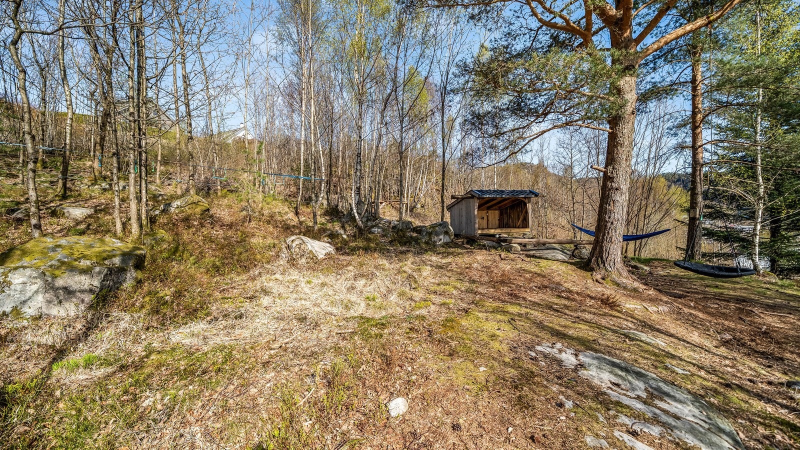 Unikt område med hinderløype, slenghuske, hengekøye og gapahuk. Galleribilde