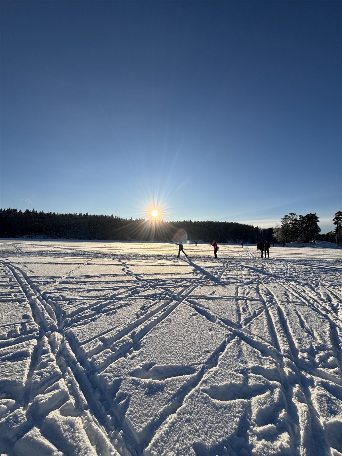 Østmarka rett utenfor døren med flotte tur- og rekreasjonsmuligheter sommer som vinter. Galleribilde
