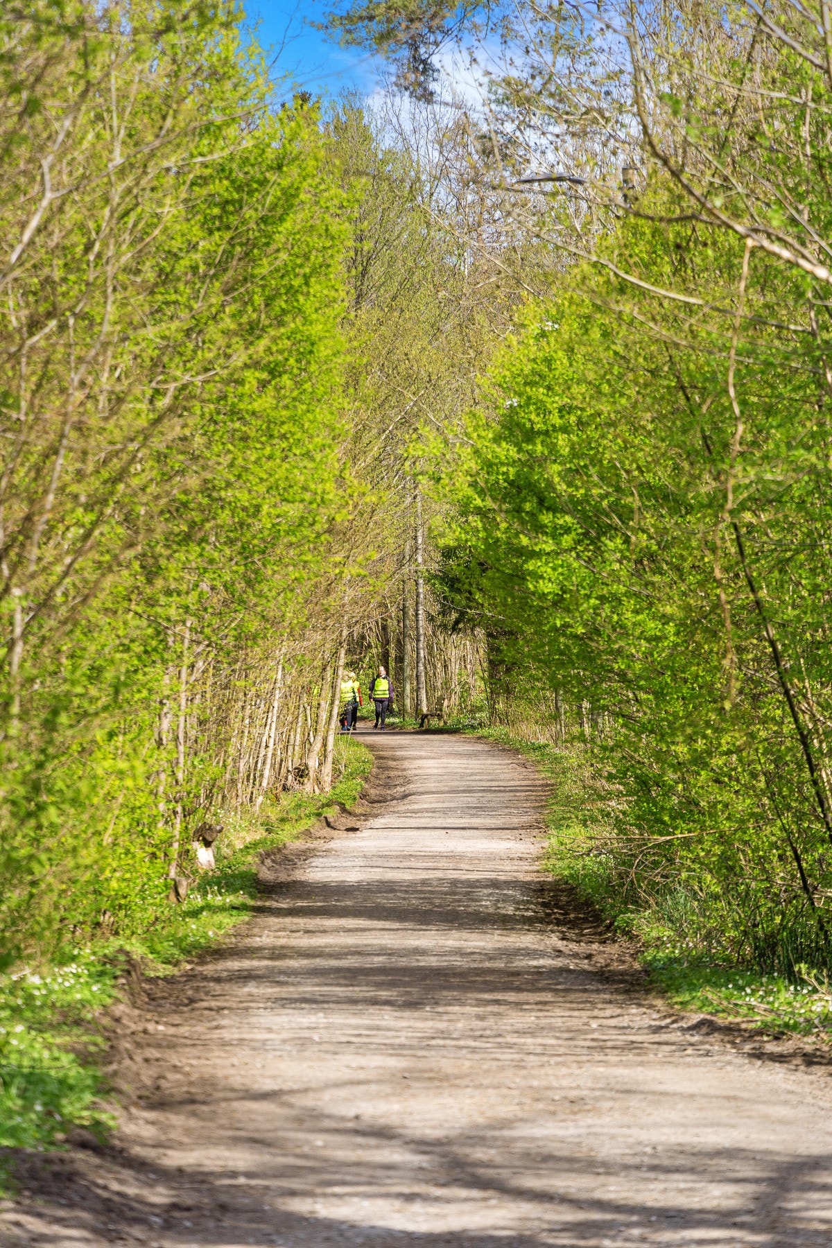 For øvrig herlige friområder som Råelåsen og Kirkeskogen i umiddelbar nærhet. Galleribilde