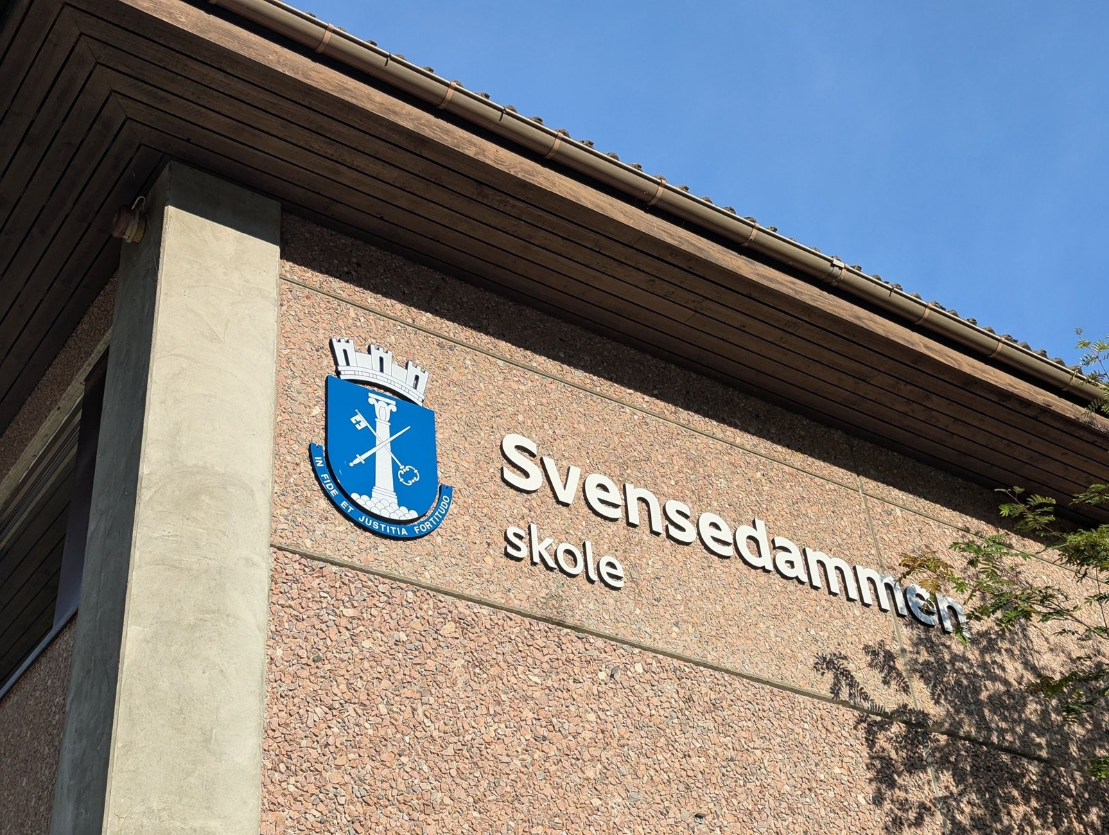 Svensedammen ungdomsskole over veien Galleribilde