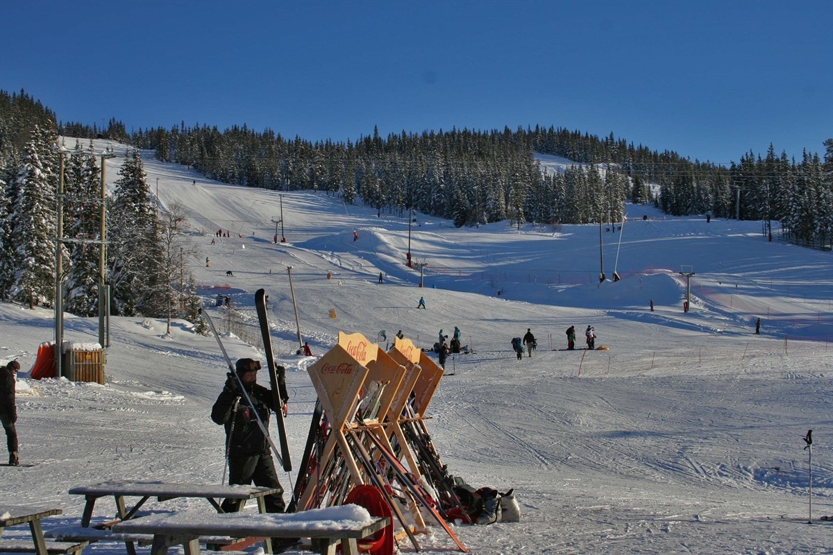 Valdres Alpinsenter er et av Valdres største alpinsentre med hele 5 heiser og 14 nedfarter. (Foto: Valdres Alpinsenter) Galleribilde