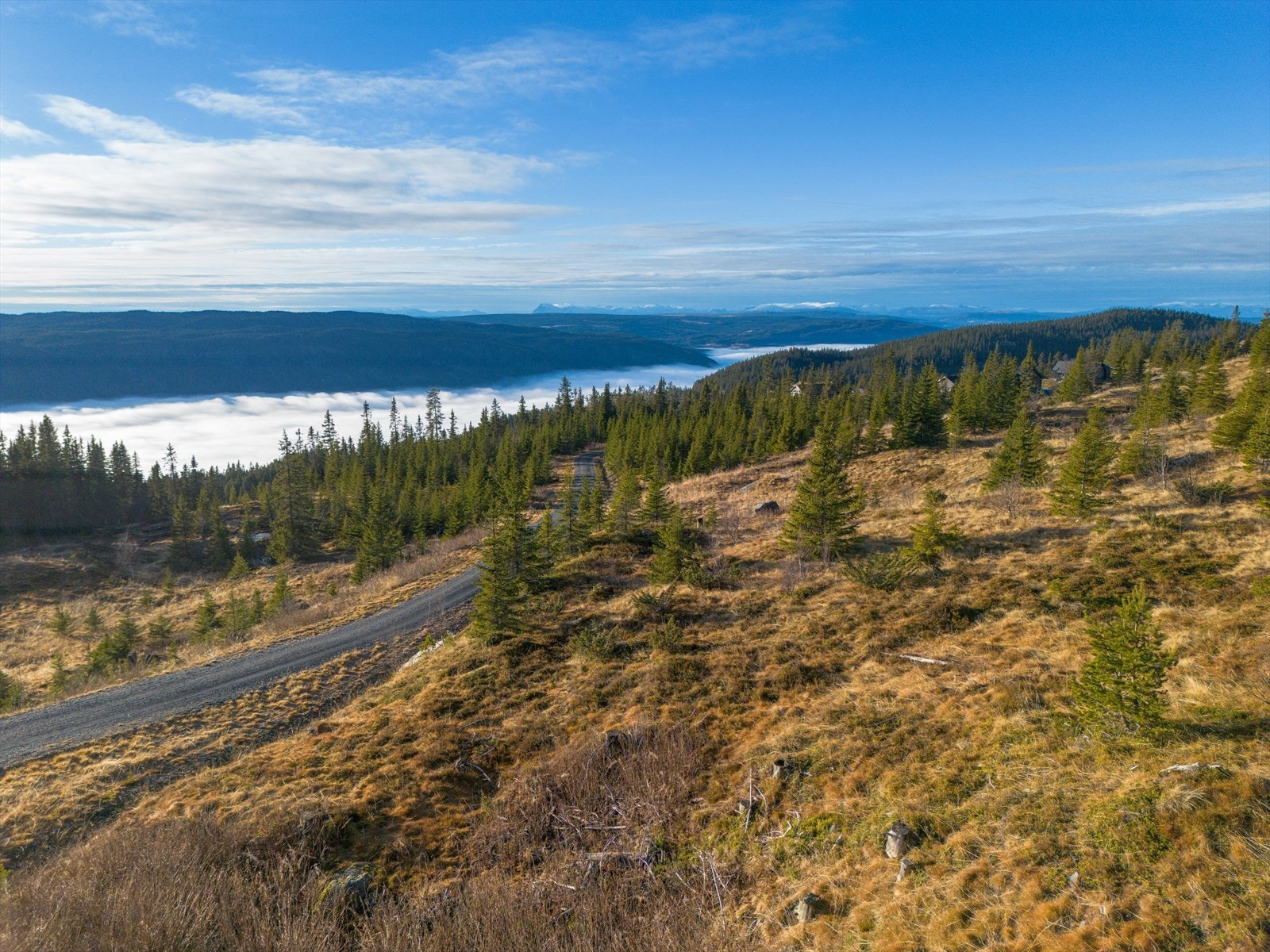 Velkommen til Nystølen Hyttefelt - åpent og fritt beliggende sør på Aurdalsåsen! Galleribilde