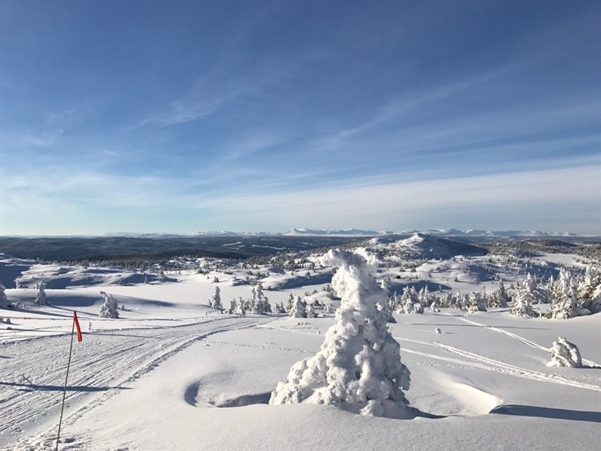 Løypene går i vakker og variert natur i områder med storslått utsikt til bl.a. Hemsedalsfjellene og Jotunheimen. Her fra en tur til Bjørgovarden. Galleribilde