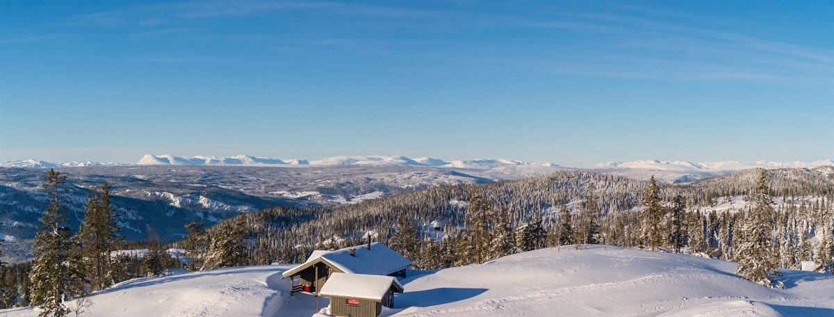 Her er den vakre fjellrekken zoomet noe inn slik at en tydelig kan se bla. Skogshorn, Nibbi, Storlifjell, Ranastongi og Grindane. Galleribilde