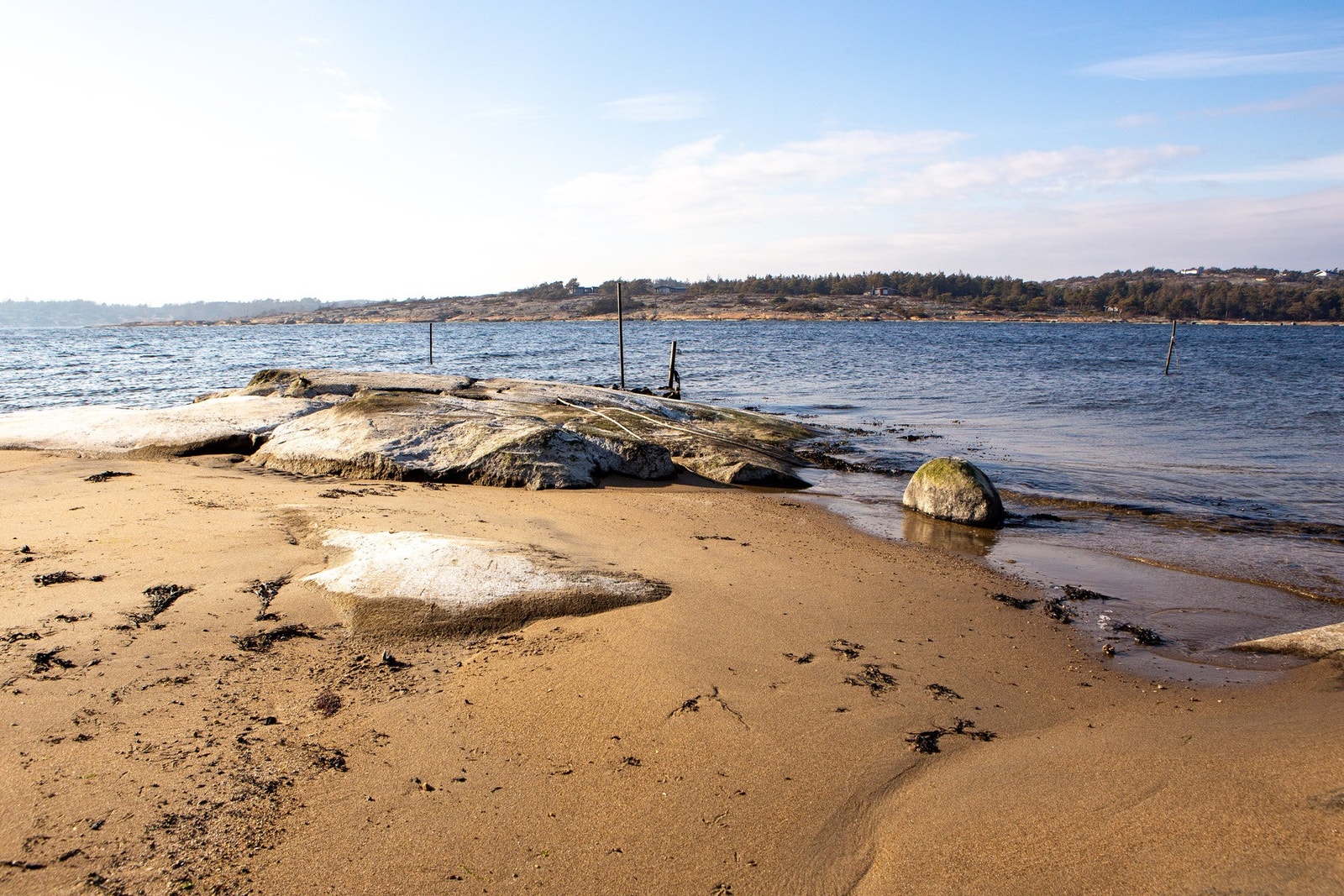 Strandområdet nedenfor hytta. Galleribilde