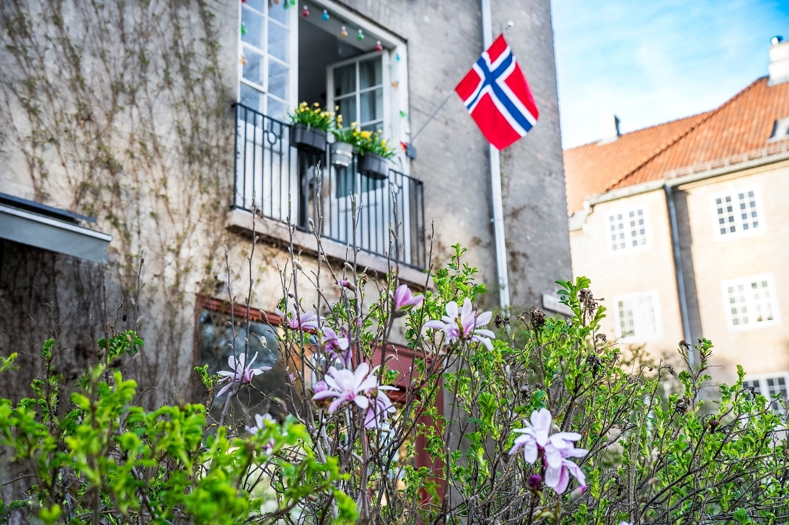 Stor og gjennomgående 4-roms hjørneleilighet med karnapp og to franske balkonger i vakker bygård på Jessenløkken. © Tom Helge Vik Galleribilde