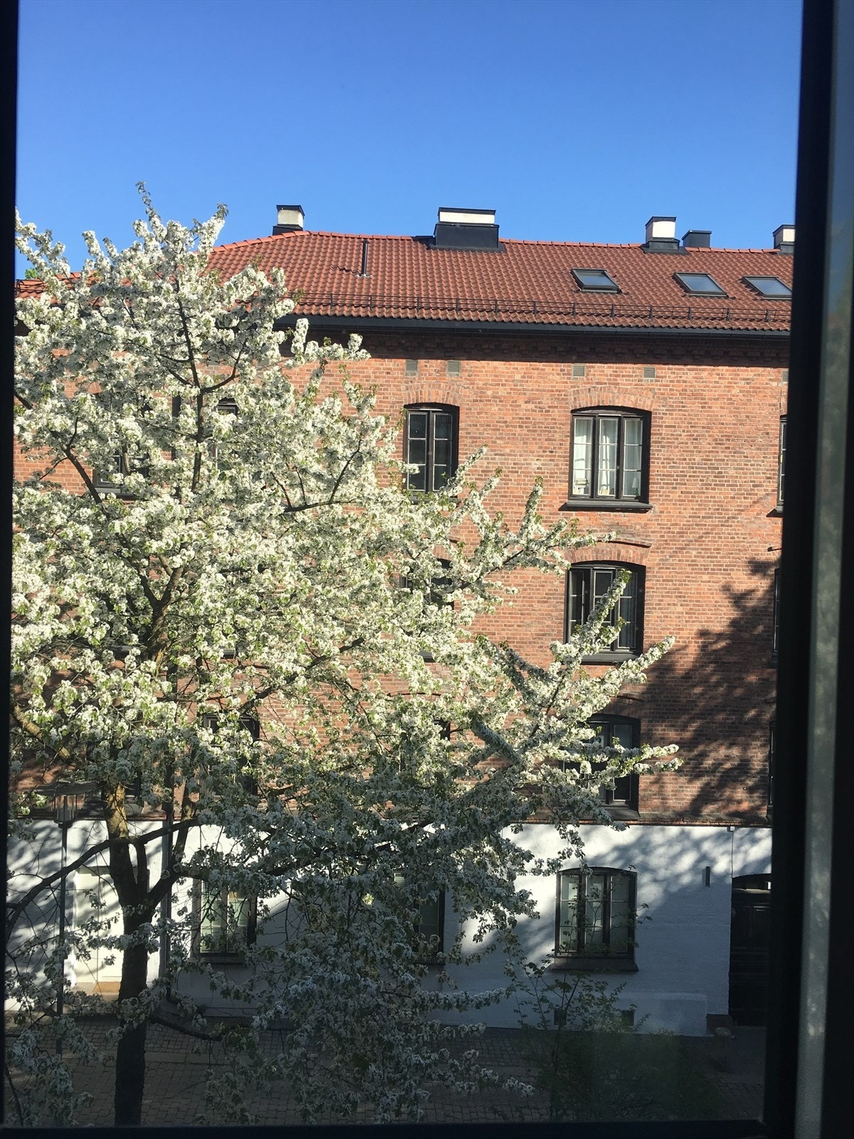 Utsikt fra stuen! Galleribilde
