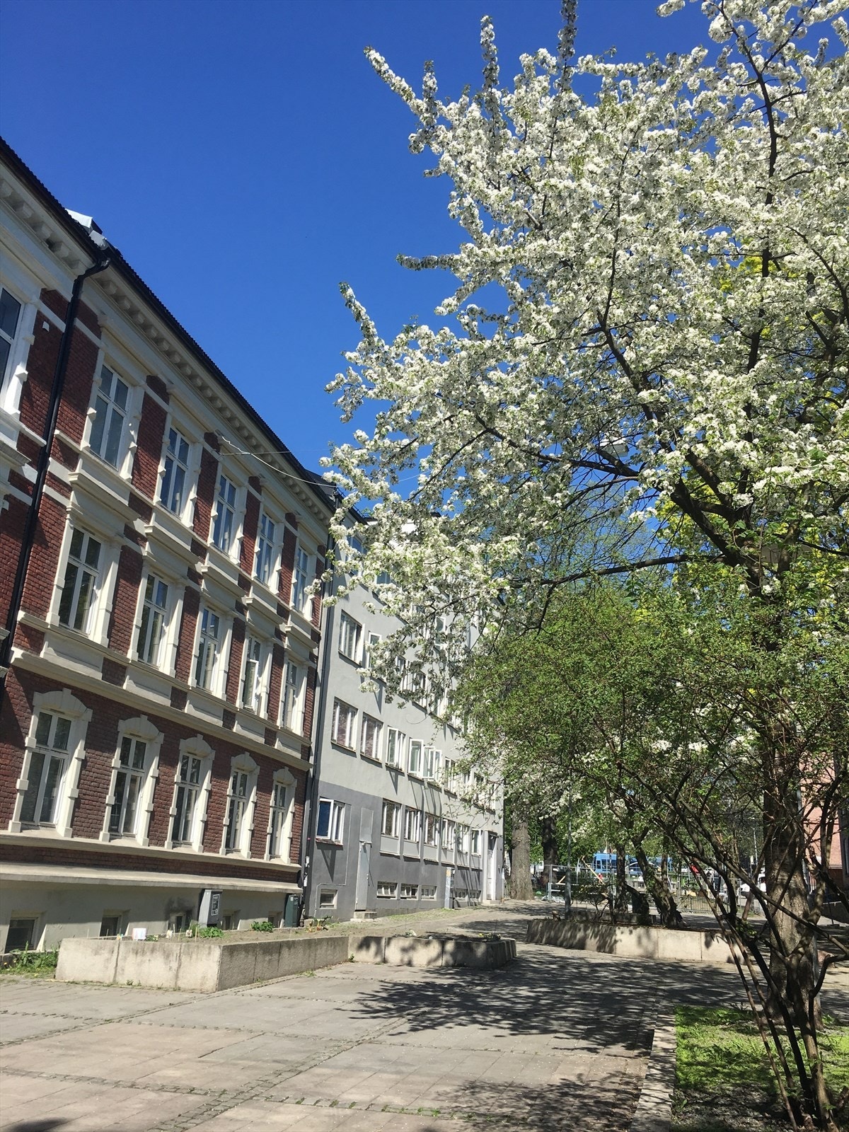 Fasadebilder fra sommerstid! Galleribilde