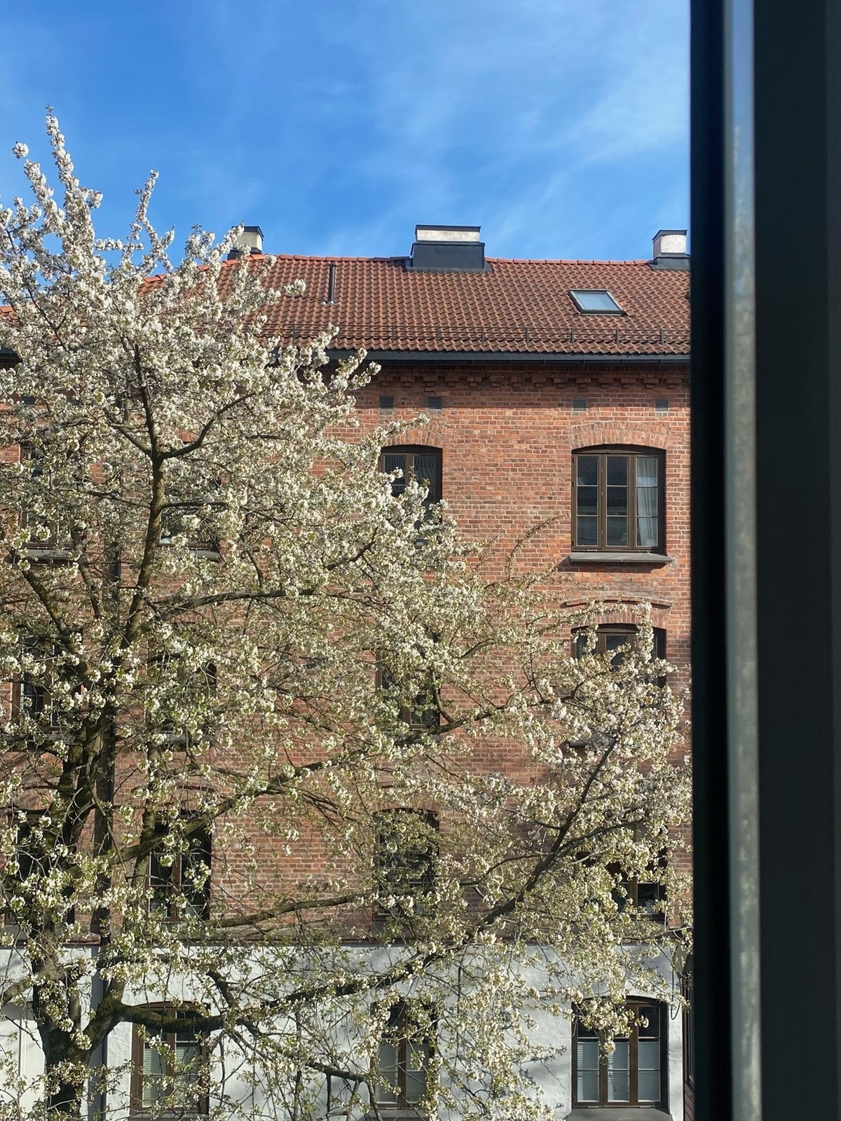 Blomstrende utsikt rett ut fra stuevinduet! Galleribilde