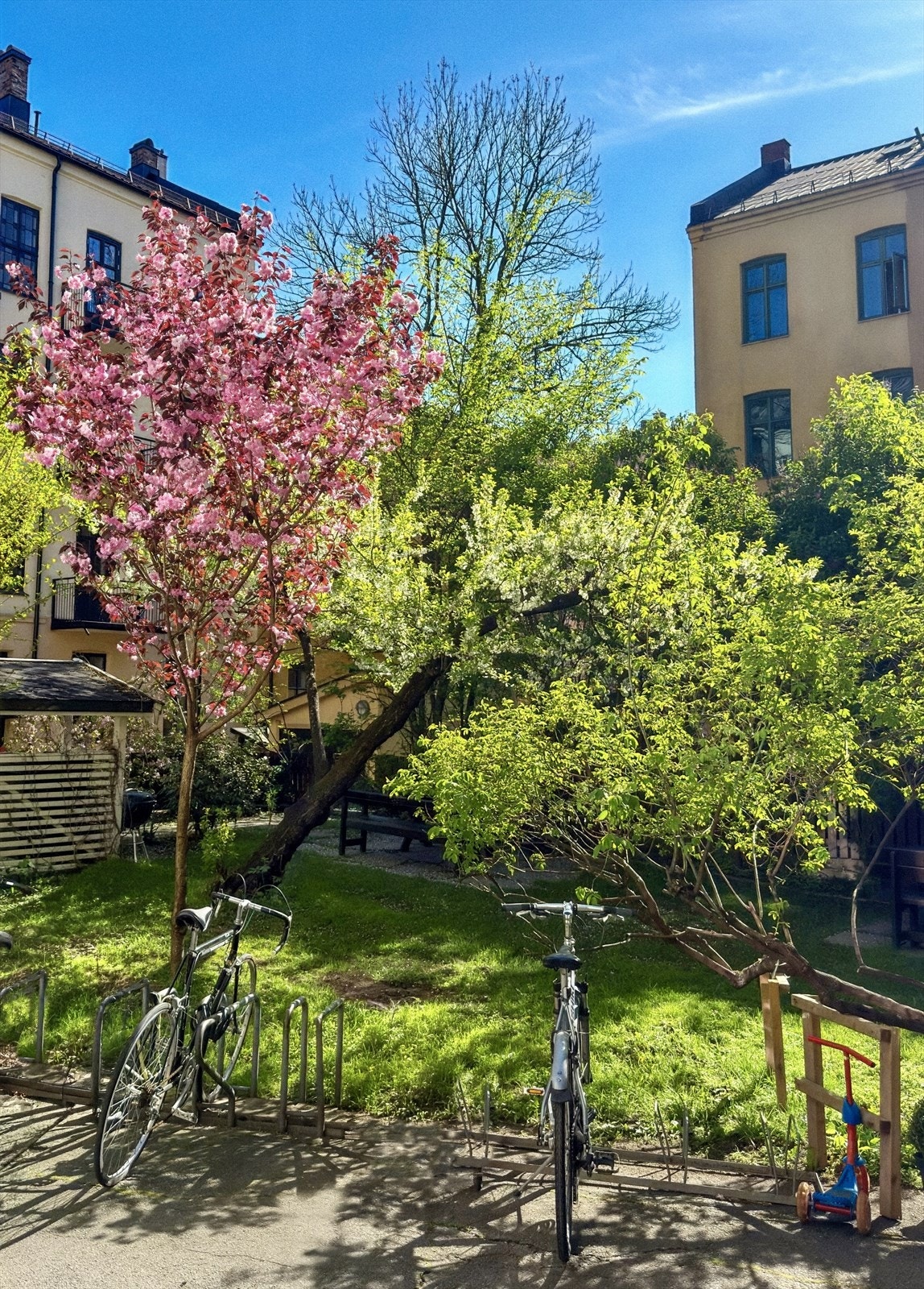 Attraktivt uteområde med vakker beplantning Galleribilde