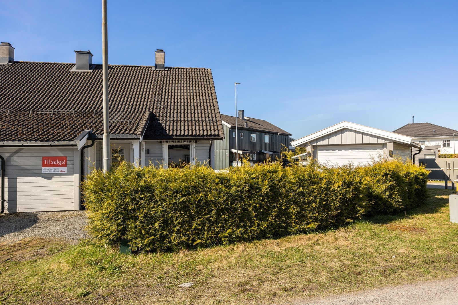 Frodig tujahekk som skjermer for innsyn. Galleribilde