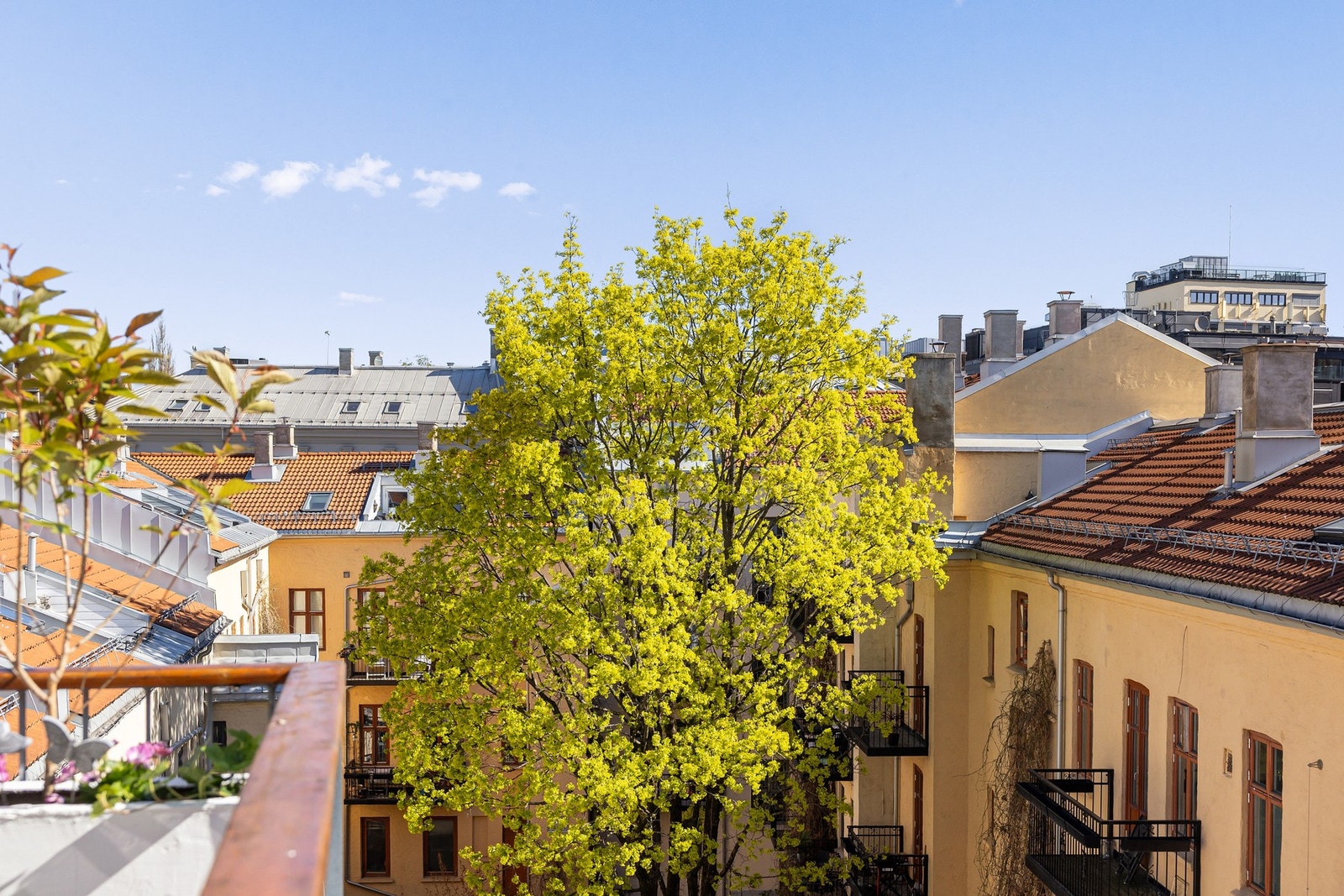 Takterrassene vender mot en rolig og skjermet bakgård uten trafikkstøy, noe som gir en fredelig atmosfære til tross for den sentrale beliggenheten. Galleribilde
