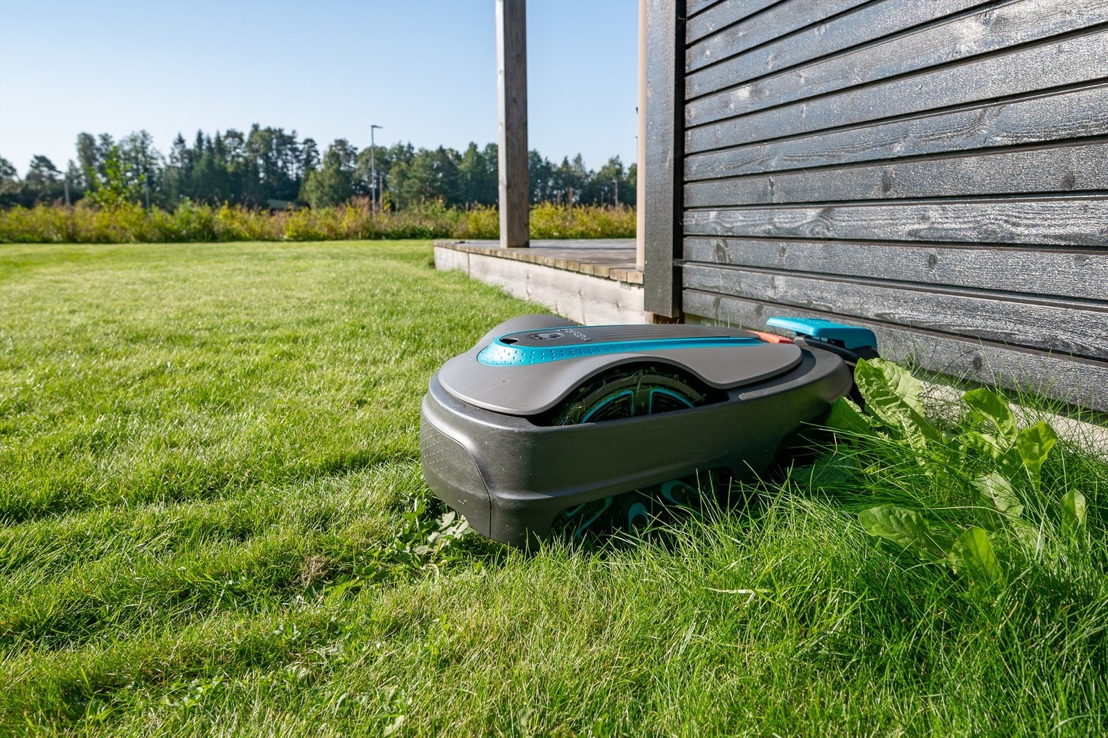 Det er installert opplegg for robotgressklipper i plenen. Galleribilde