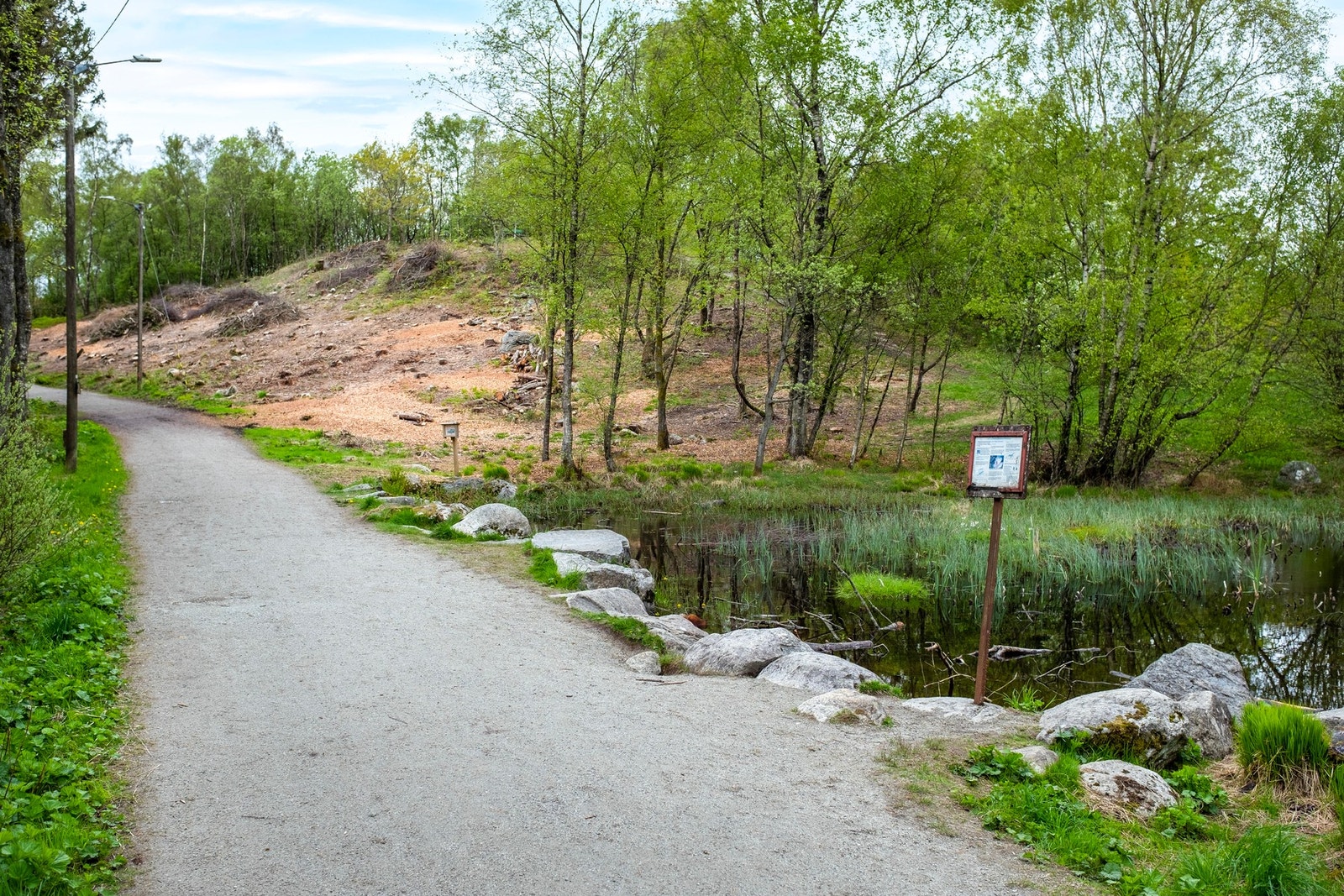 Nærområde Galleribilde
