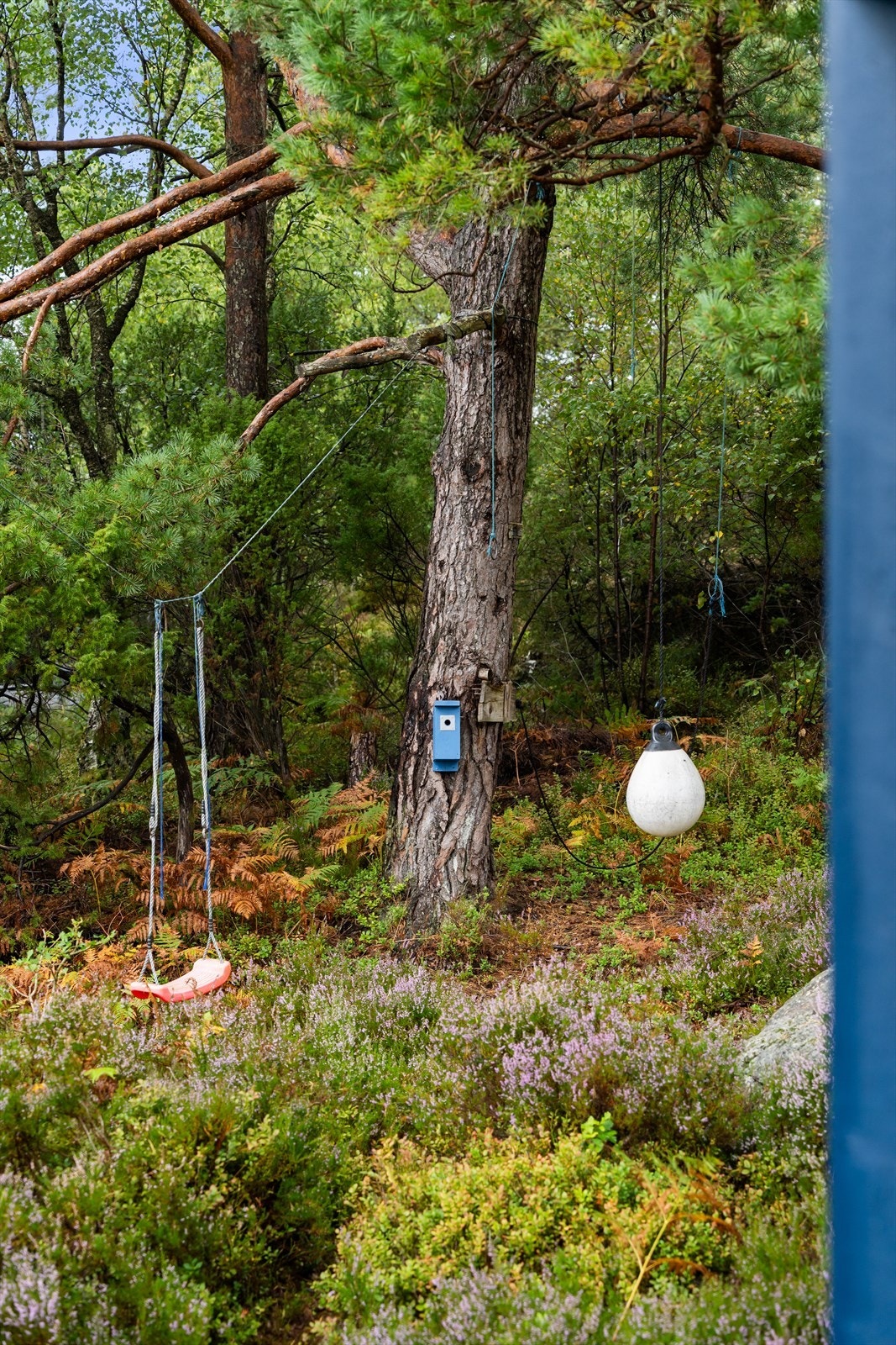 Området rundt hytten preges av naturlig terreng og grønn vegetasjon, som gir en følelse av ro og privatliv. Galleribilde