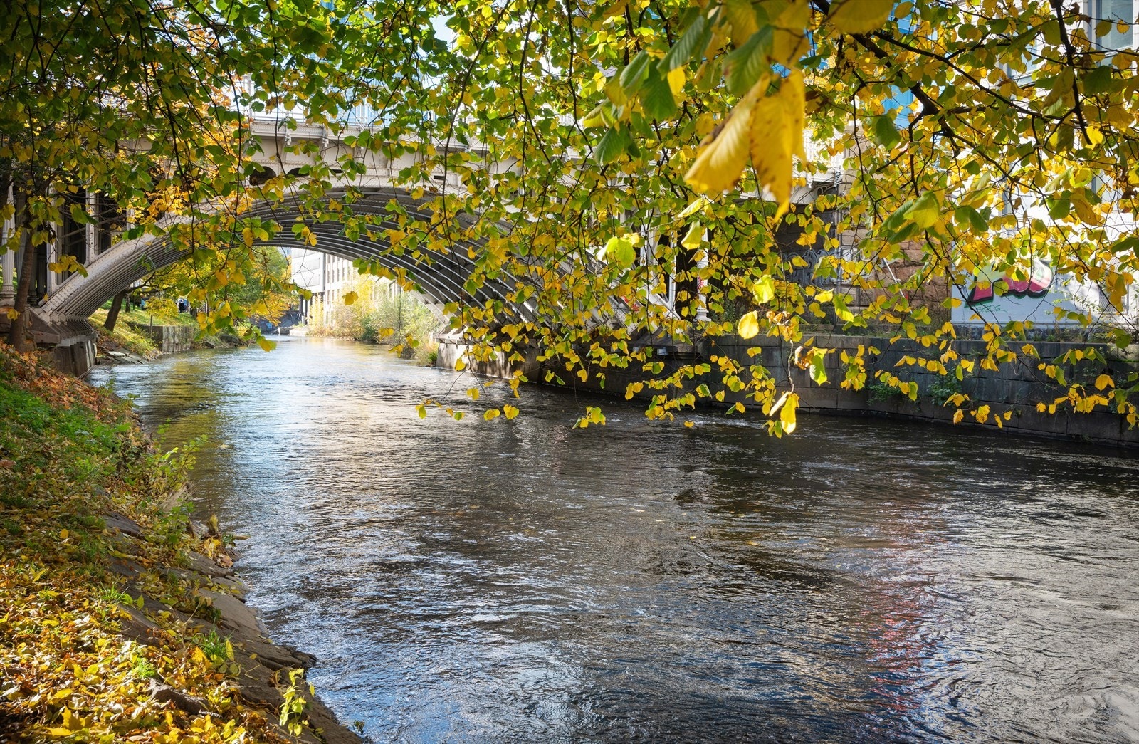 Akerselva er en grønn lunge som byr på fine tur- og rekreasjonsmuligheter året rundt. Galleribilde