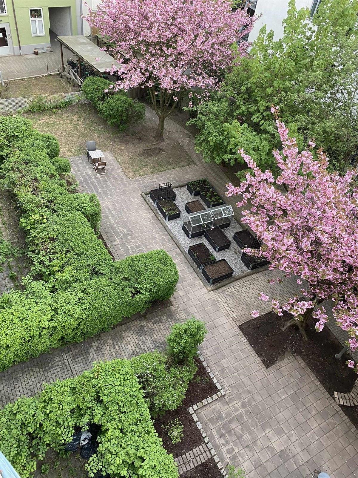 Sameiet har felles plantekasser for beboerne. Galleribilde