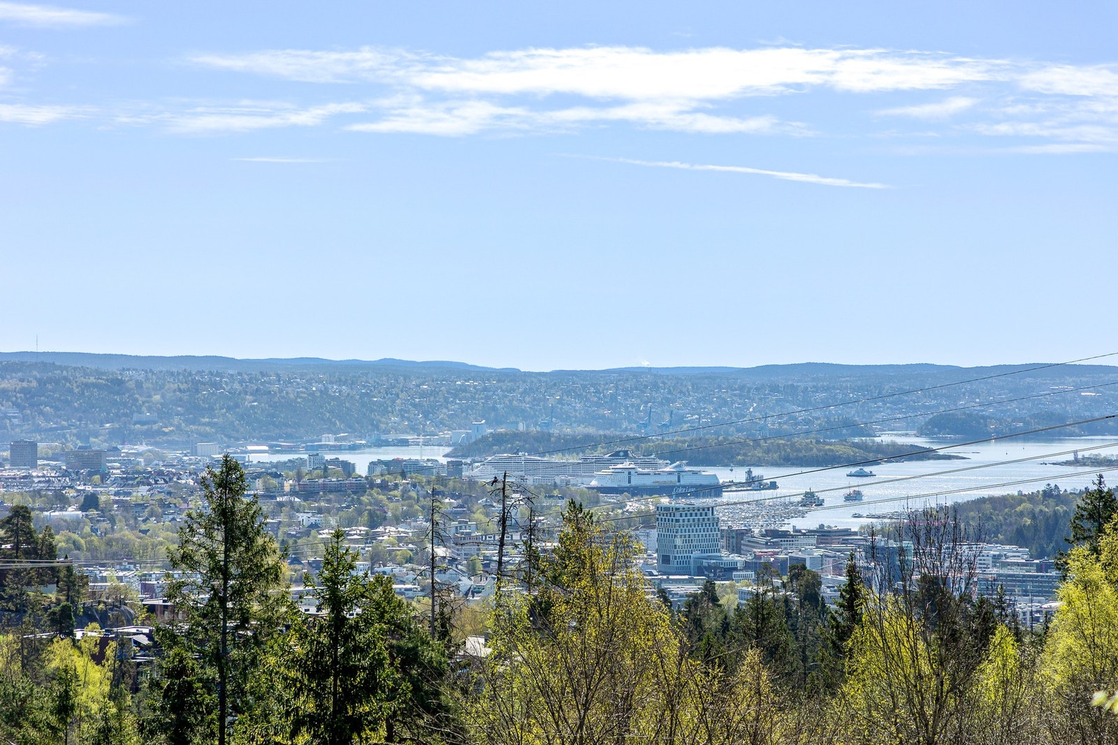 Utsikten over Oslofjorden. Galleribilde