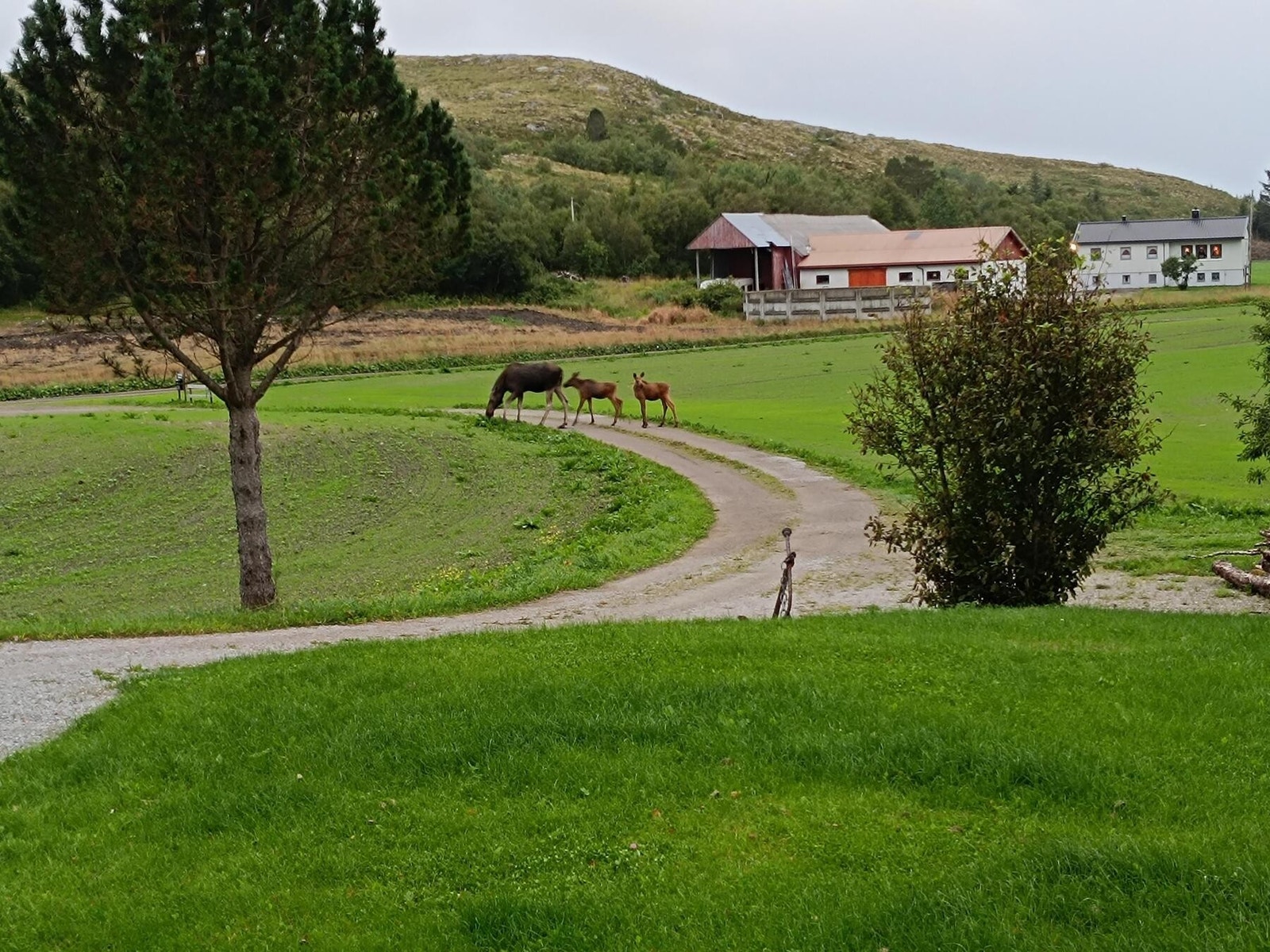 Her bor man tett på naturen Galleribilde