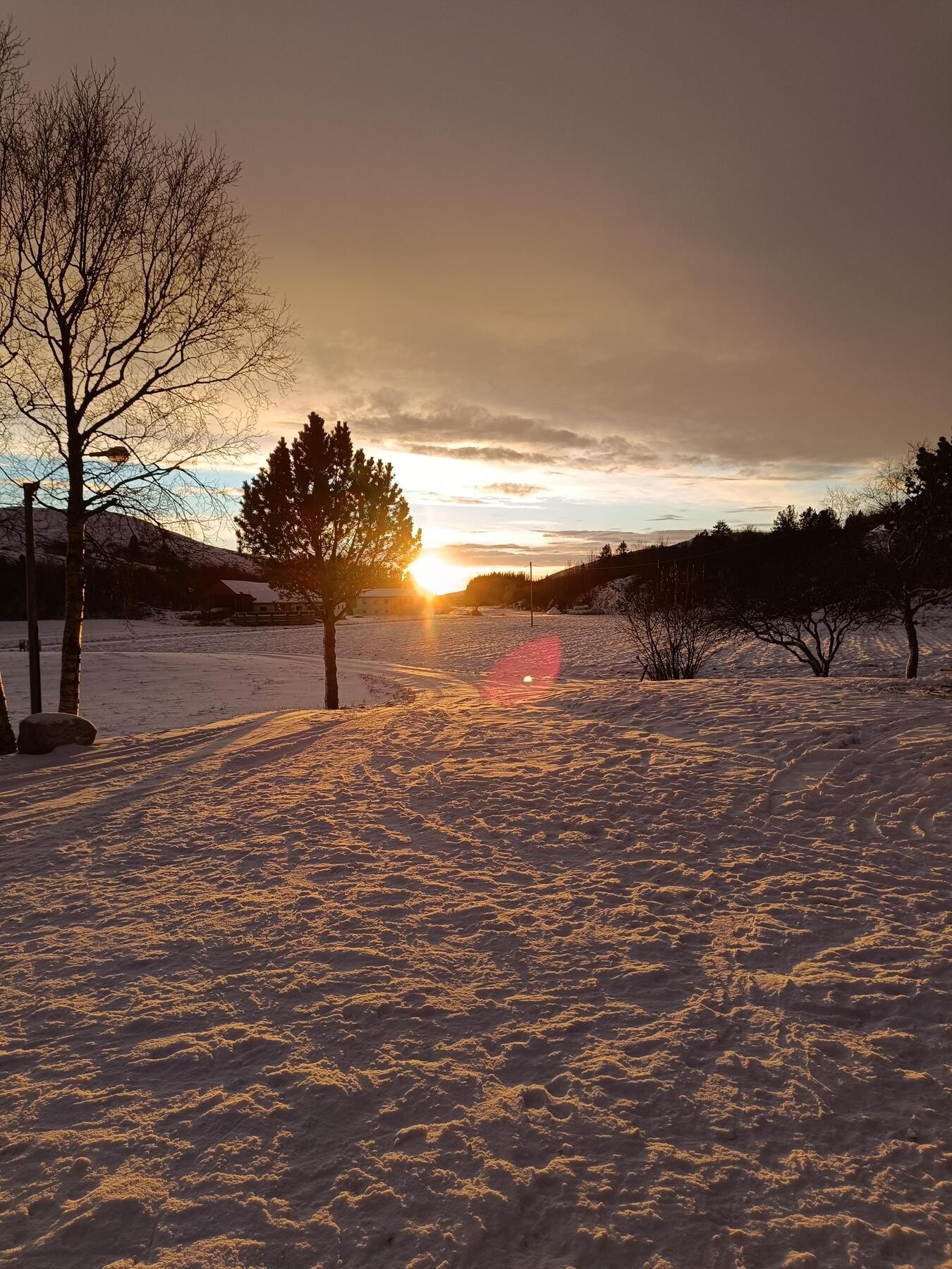Selgers stemningsbilde fra vinter Galleribilde