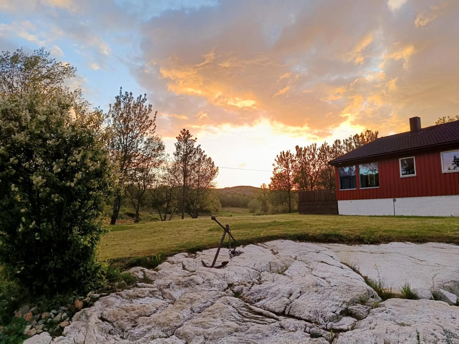 Selgers stemningsbilde fra hagen Galleribilde