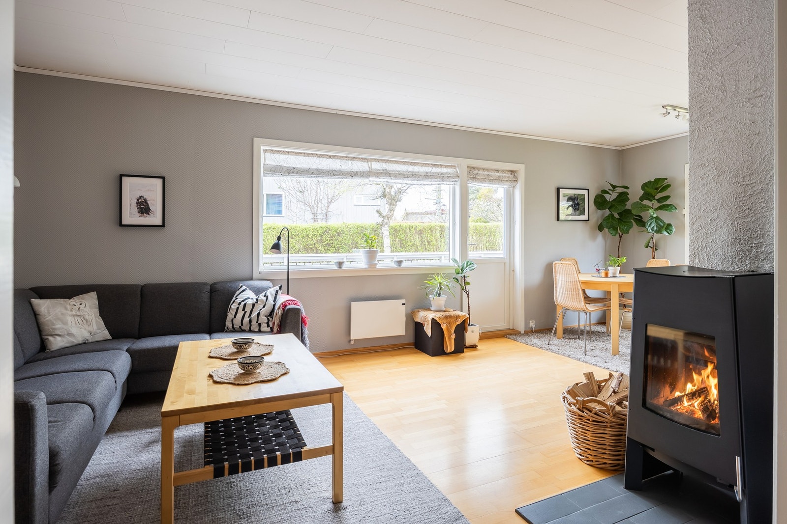 Romslig stue på 21 kvm. Galleribilde