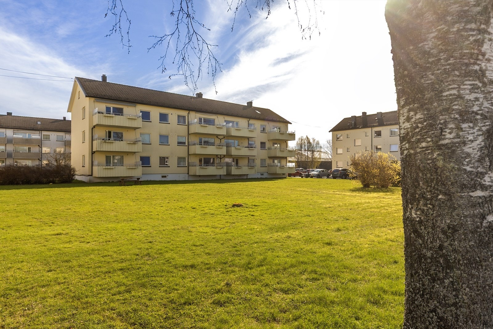 Tomten er pent opparbeidet med plen og beplantning. Galleribilde