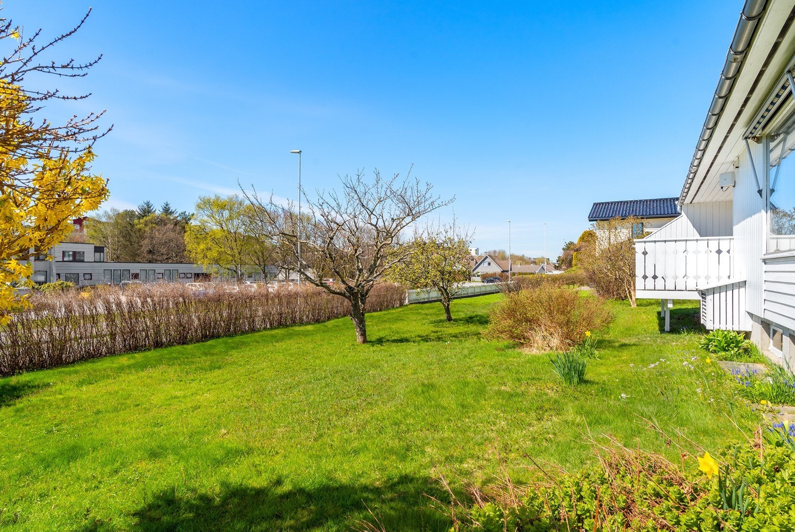 Pent opparbeidet hage som blomstrer vakkert på sommeren. Galleribilde