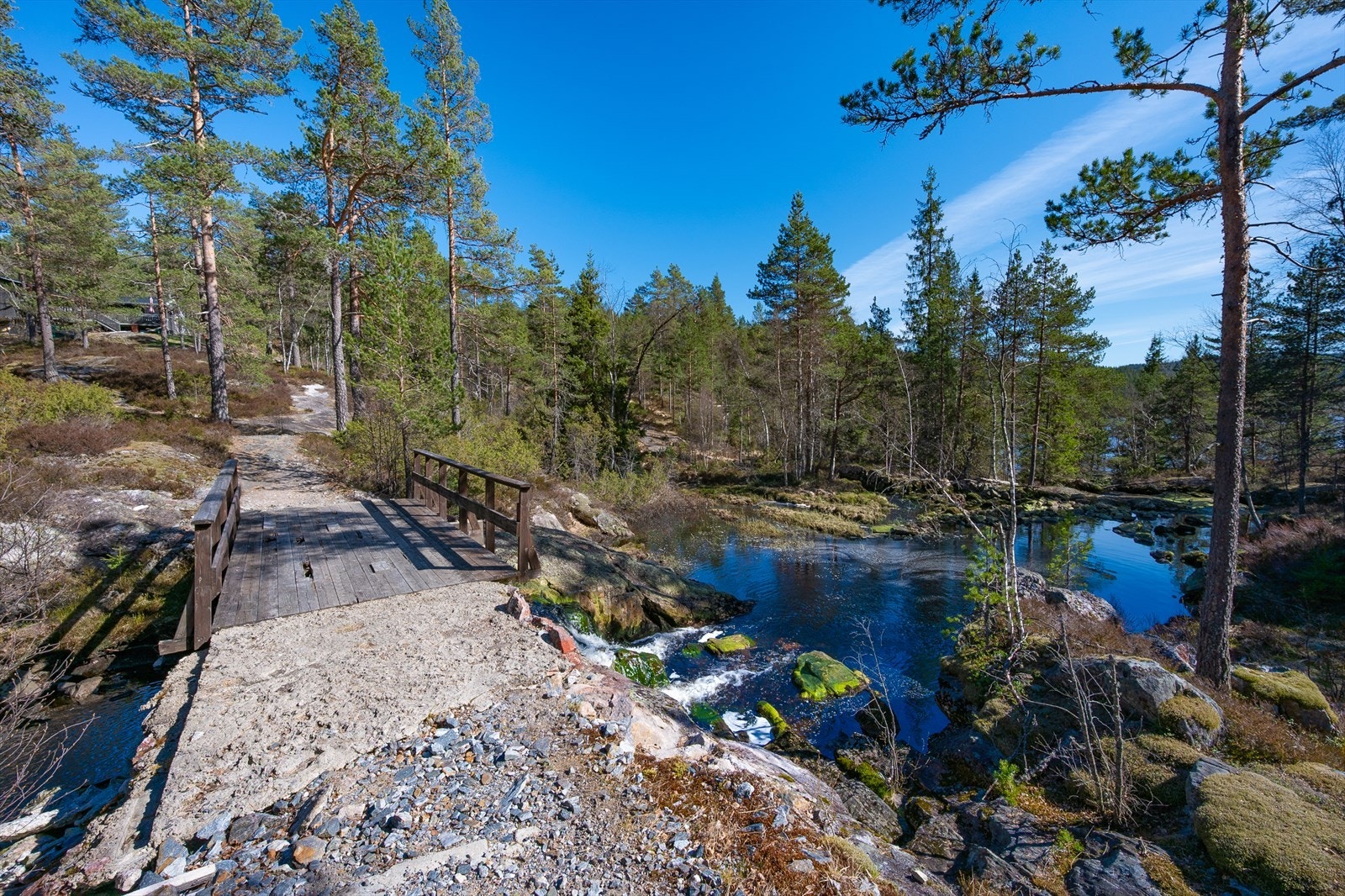 Gangvei til hytte Galleribilde