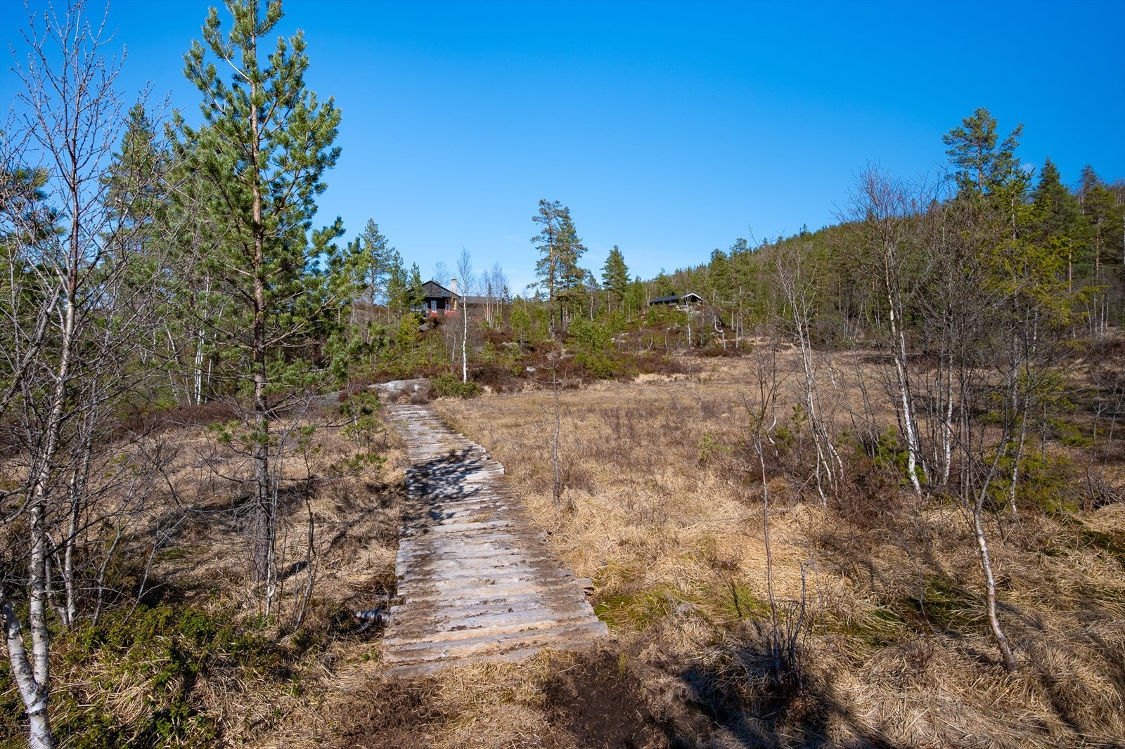 Gangvei til hytte Galleribilde
