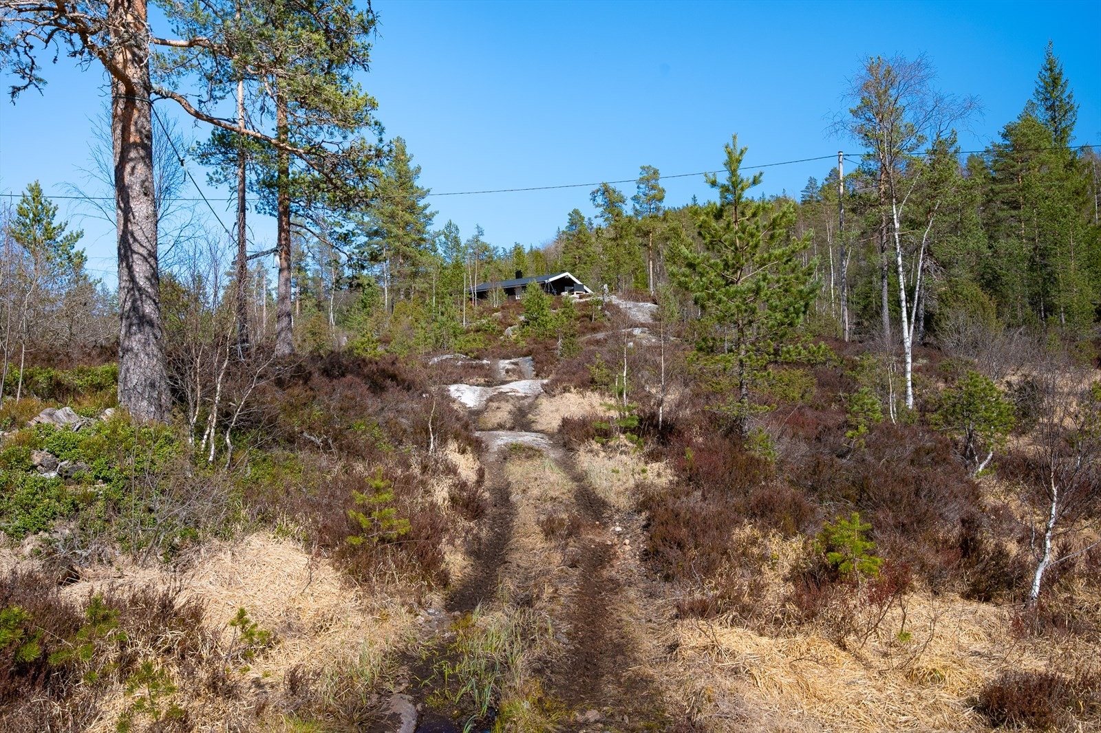 Gangvei til hytte Galleribilde