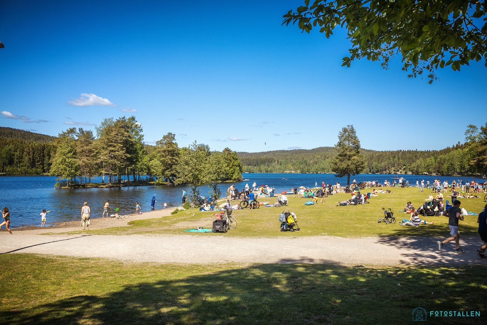 Sognsvann med bademuligheter og turmuligheter ligger ca. 3,5 km spasertur fra leiligheten. Galleribilde