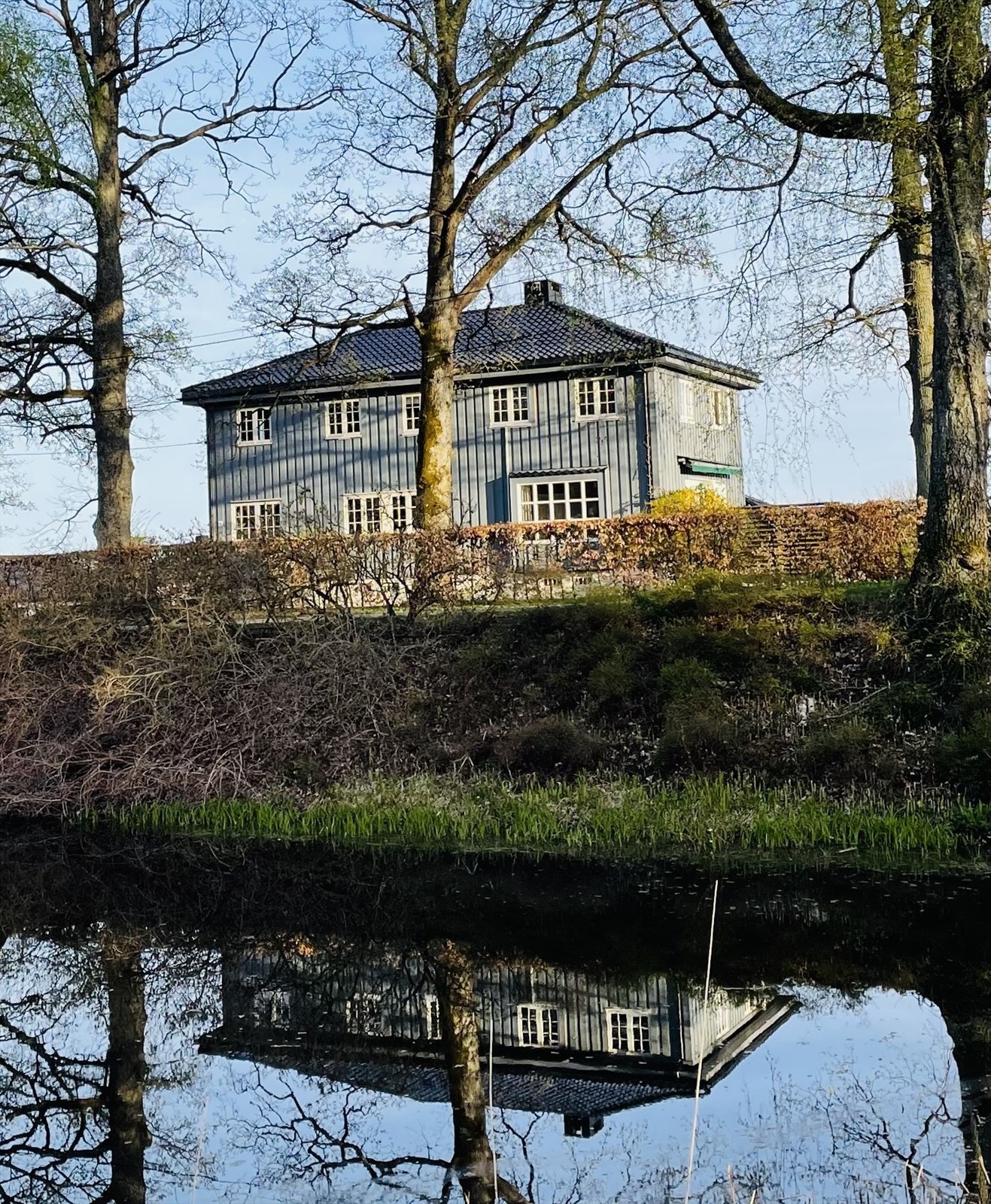 Foto: Selgers private bilde Galleribilde