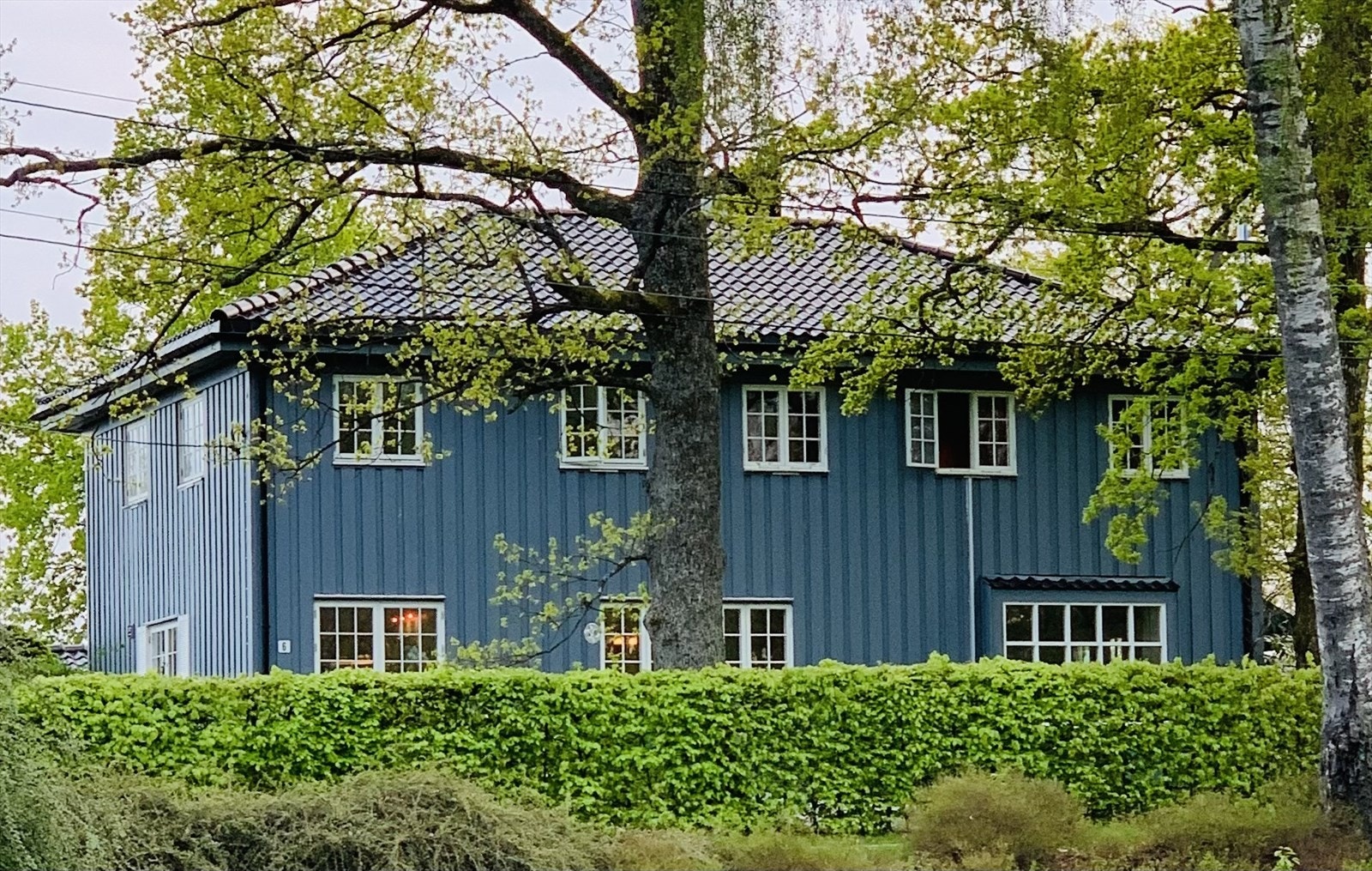 Foto: Selgers private bilde Galleribilde