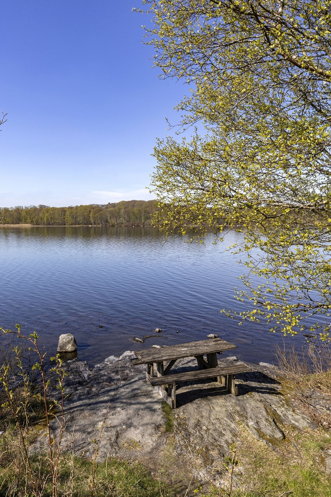 Det er kort vei til flotte turområder og badeplasser ved Stokkavannet. Galleribilde