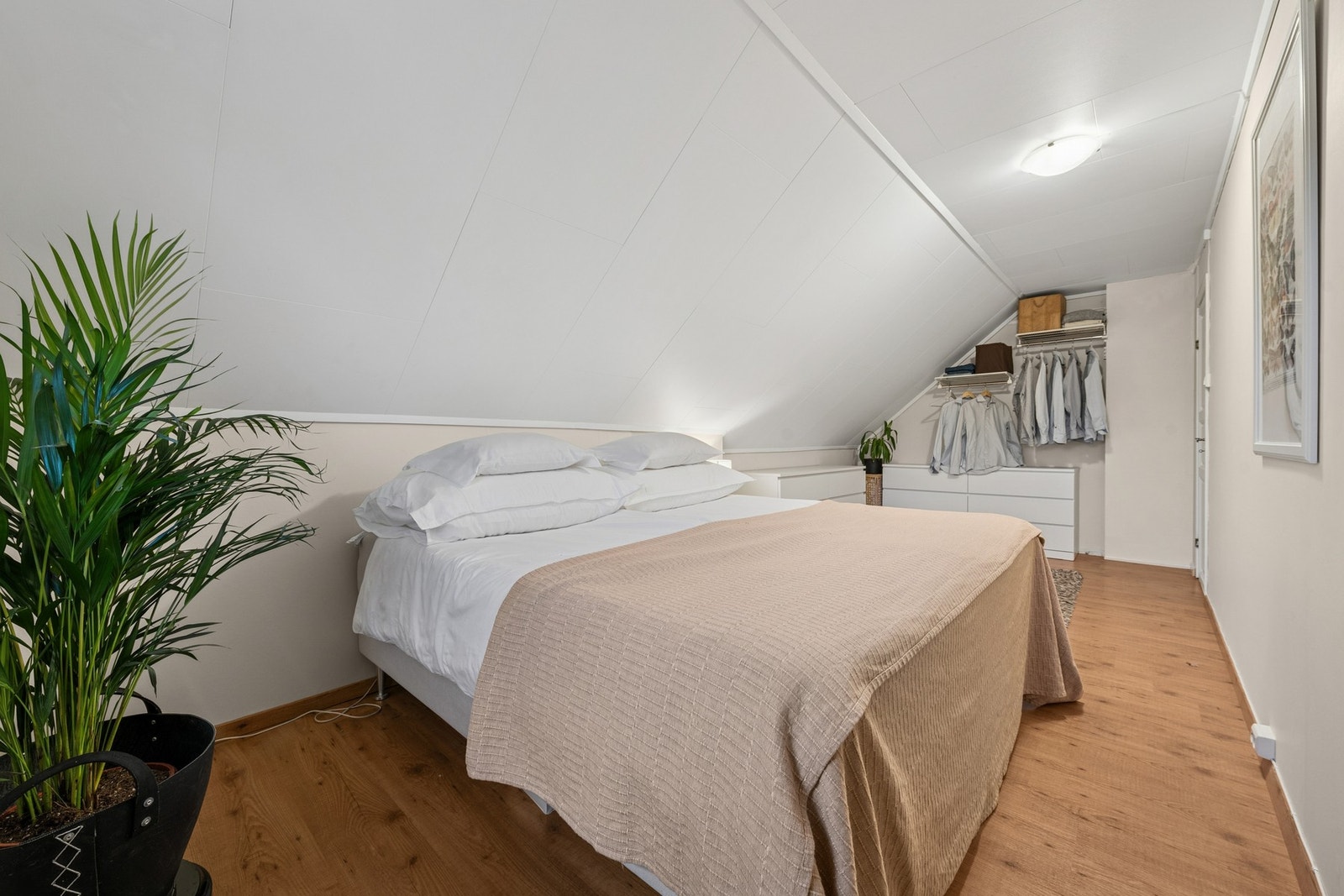 Hovedsoverommet er lyst og innbydende Galleribilde