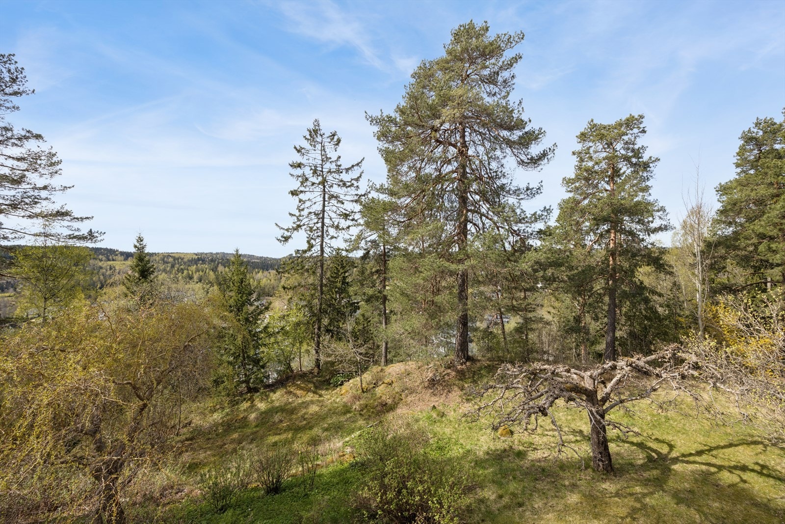 Resten av tomten som består hovedsakelig av naturtomt, og er et fint sted for barna og leke! Galleribilde