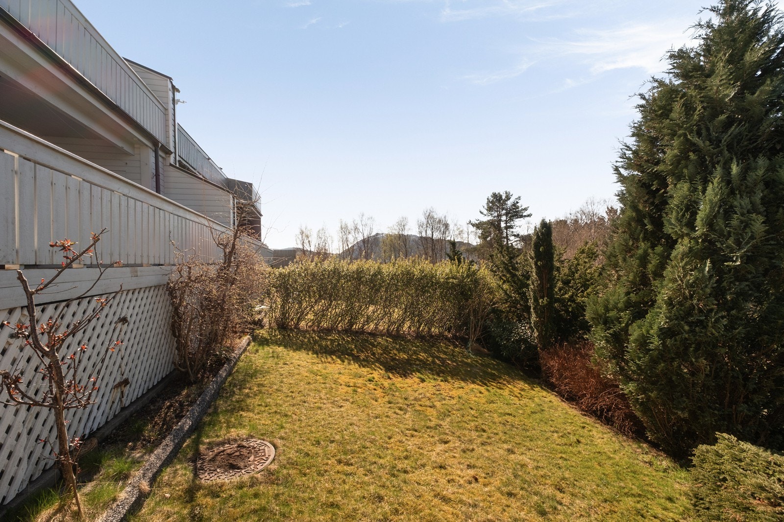 Hagen er opparbeidet med plen og beplantning, som skaper et privat uteområde. Galleribilde