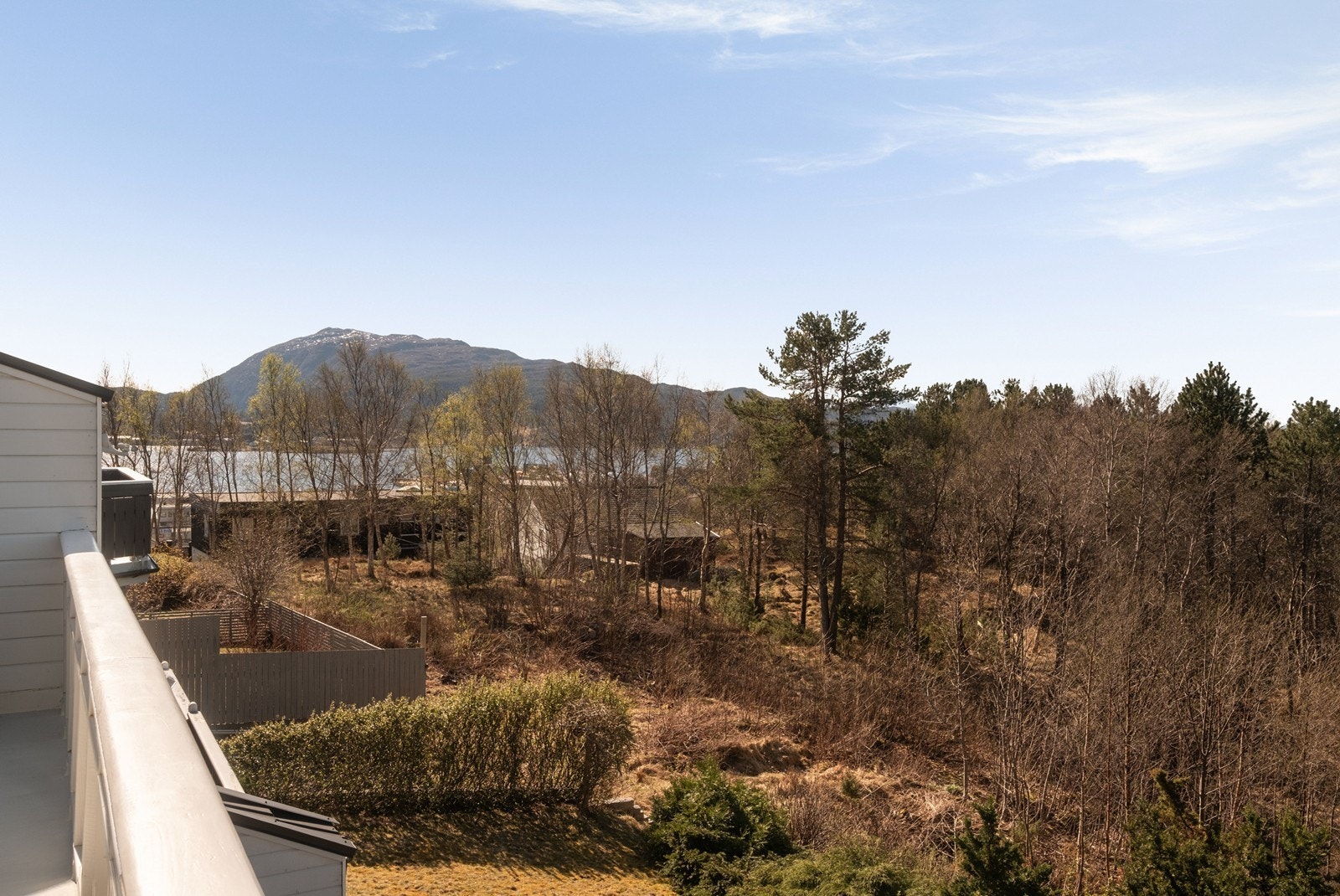 Her ser man mot toppen av Freikollen som ligger på andre siden av fjorden. Galleribilde