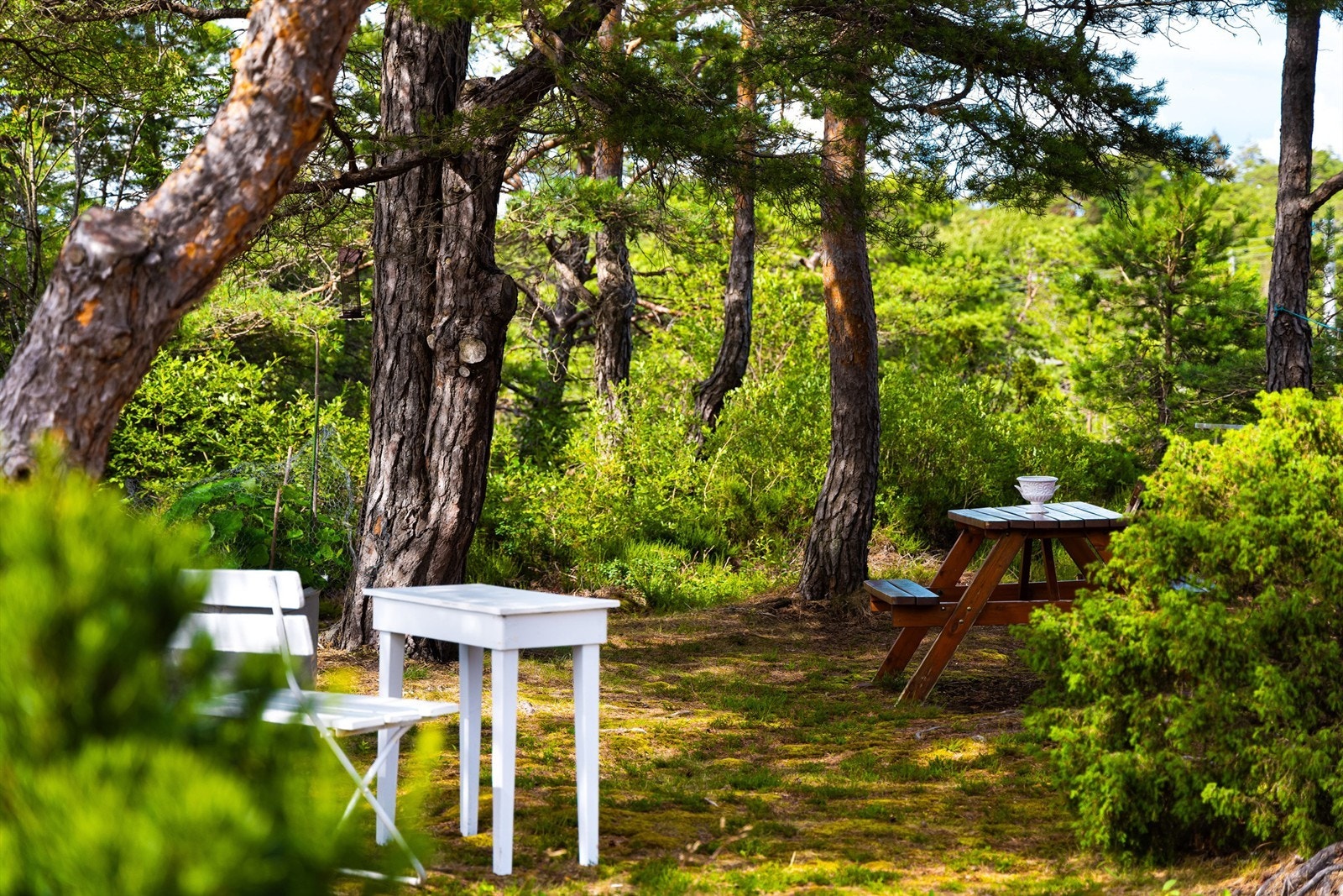 Naturskjønne omgivelser Galleribilde