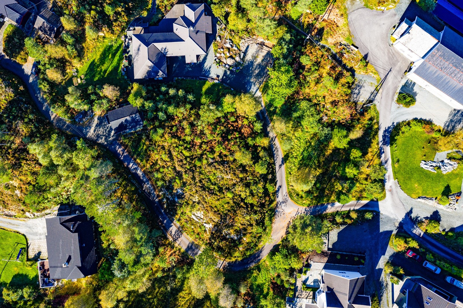 - Det er fine turområder i Ervikane (friluftsområde) og Hjortåsen - Galleribilde