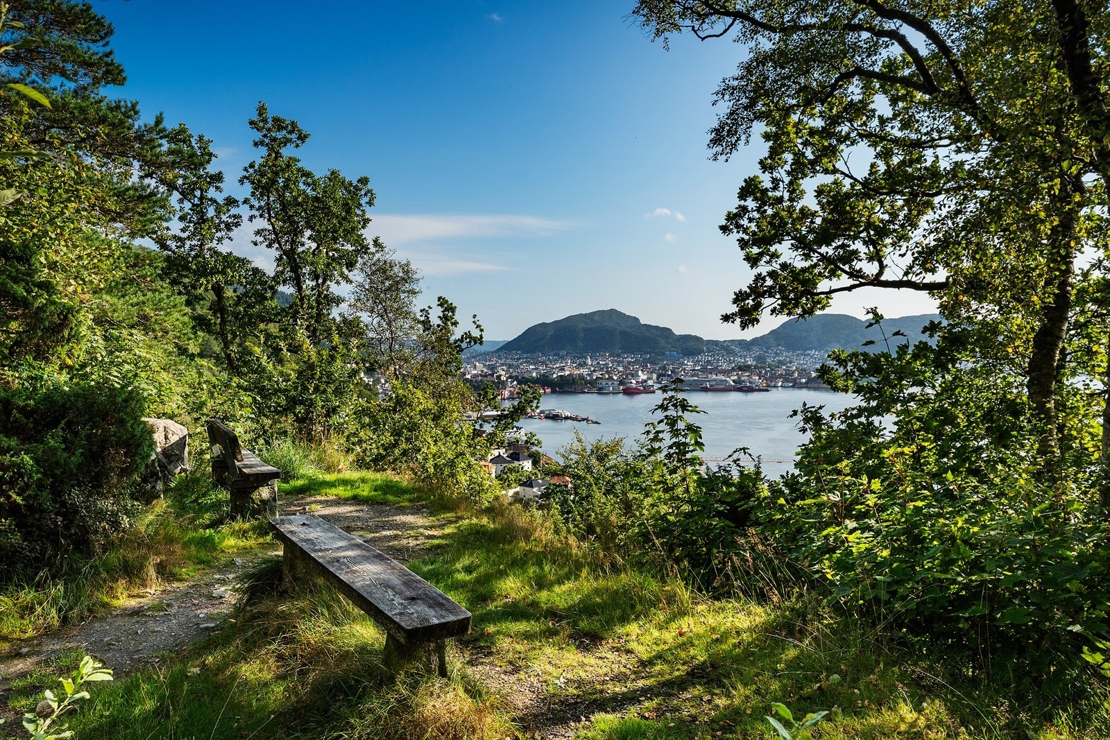 Området byr på mange fine turer, enten du foretrekker korte ettermiddagsturer eller lengre ruter i variert terreng Galleribilde